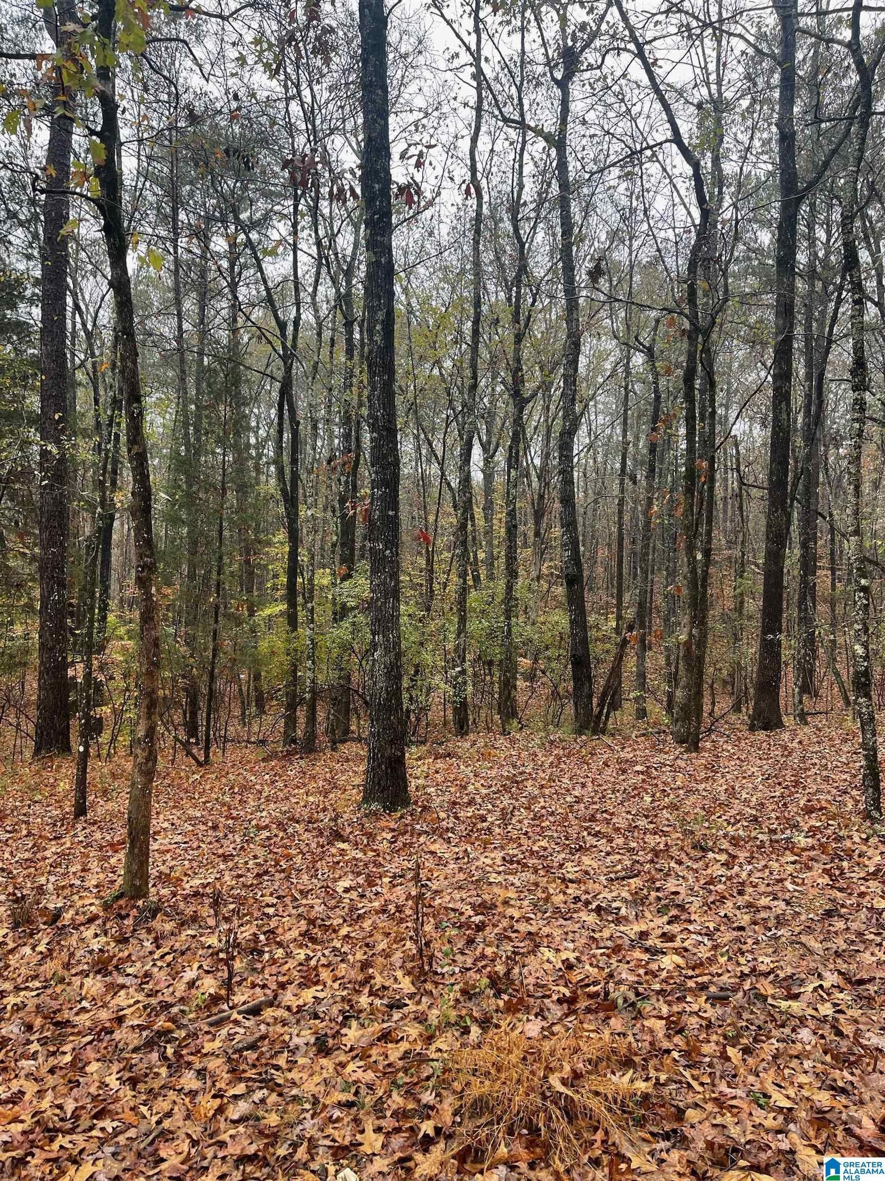 Sterrett, Shelby County, AL Farms and Ranches, Homesites for sale