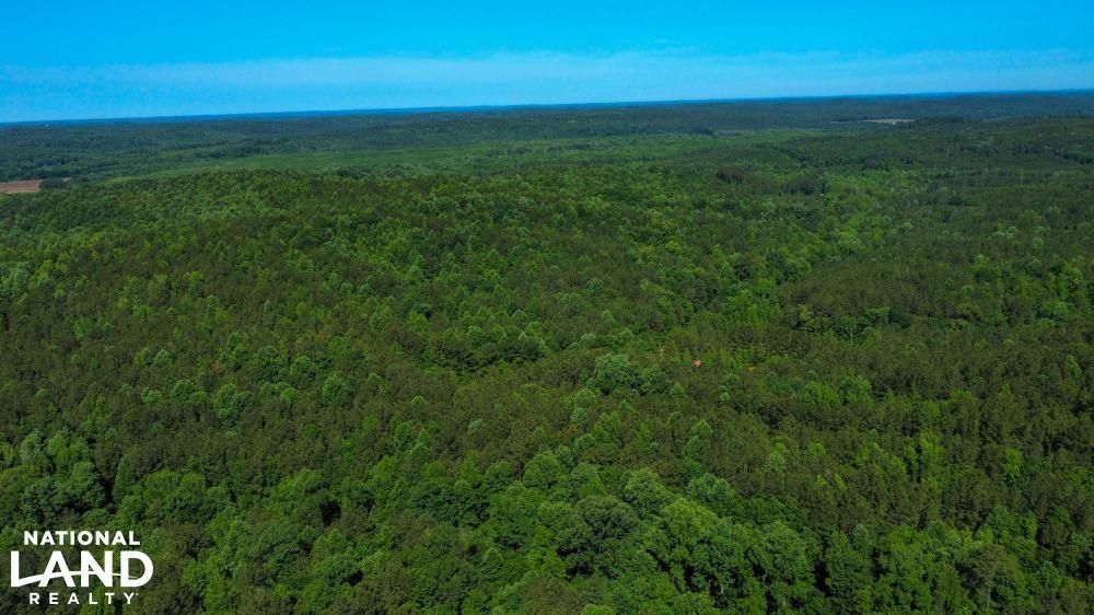 Sprott, Perry County, AL Recreational Property, Timberland Property