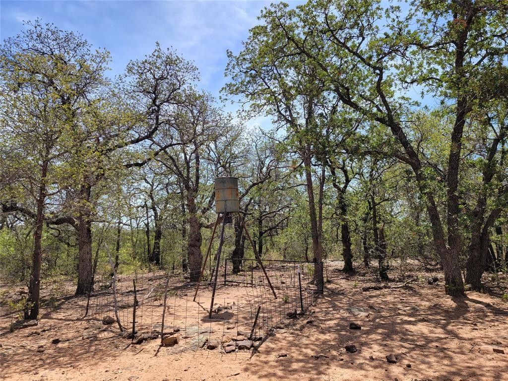 Brownwood, Brown County, TX Farms and Ranches for sale Property ID