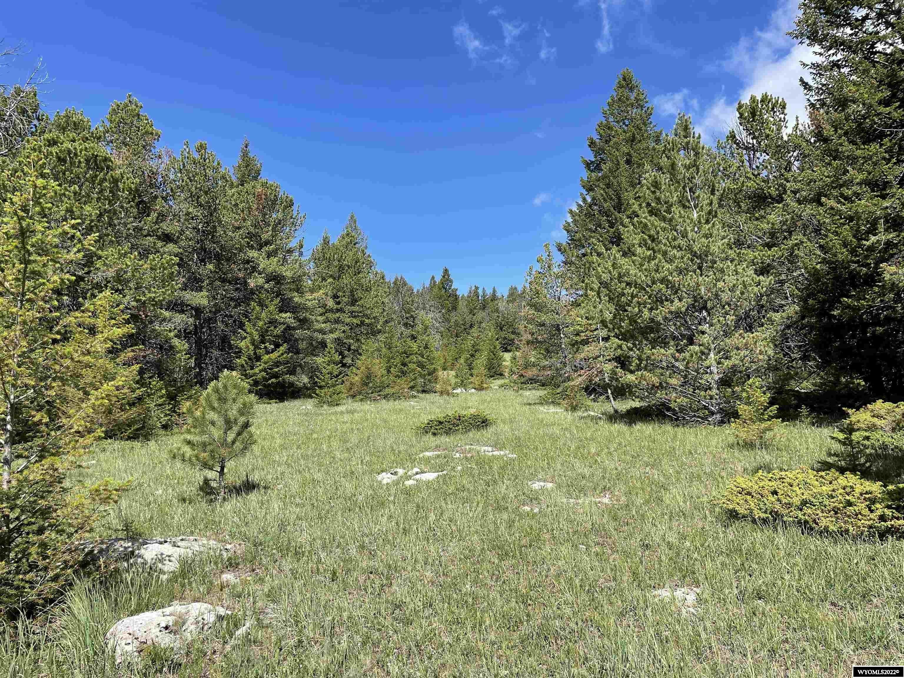 TBD Billy Creek Access Road, Buffalo, WY 828340000 MLS 20224215