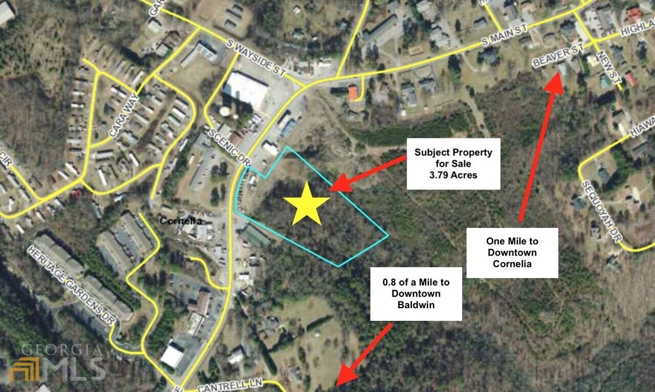 Cornelia, Habersham County, GA Commercial Property, Homesites for sale