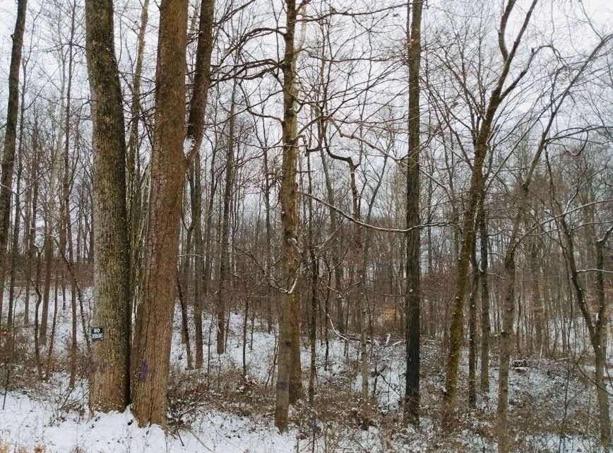 Solsberry, Greene County, IN Farms and Ranches, Homesites for sale Property ID 415500848