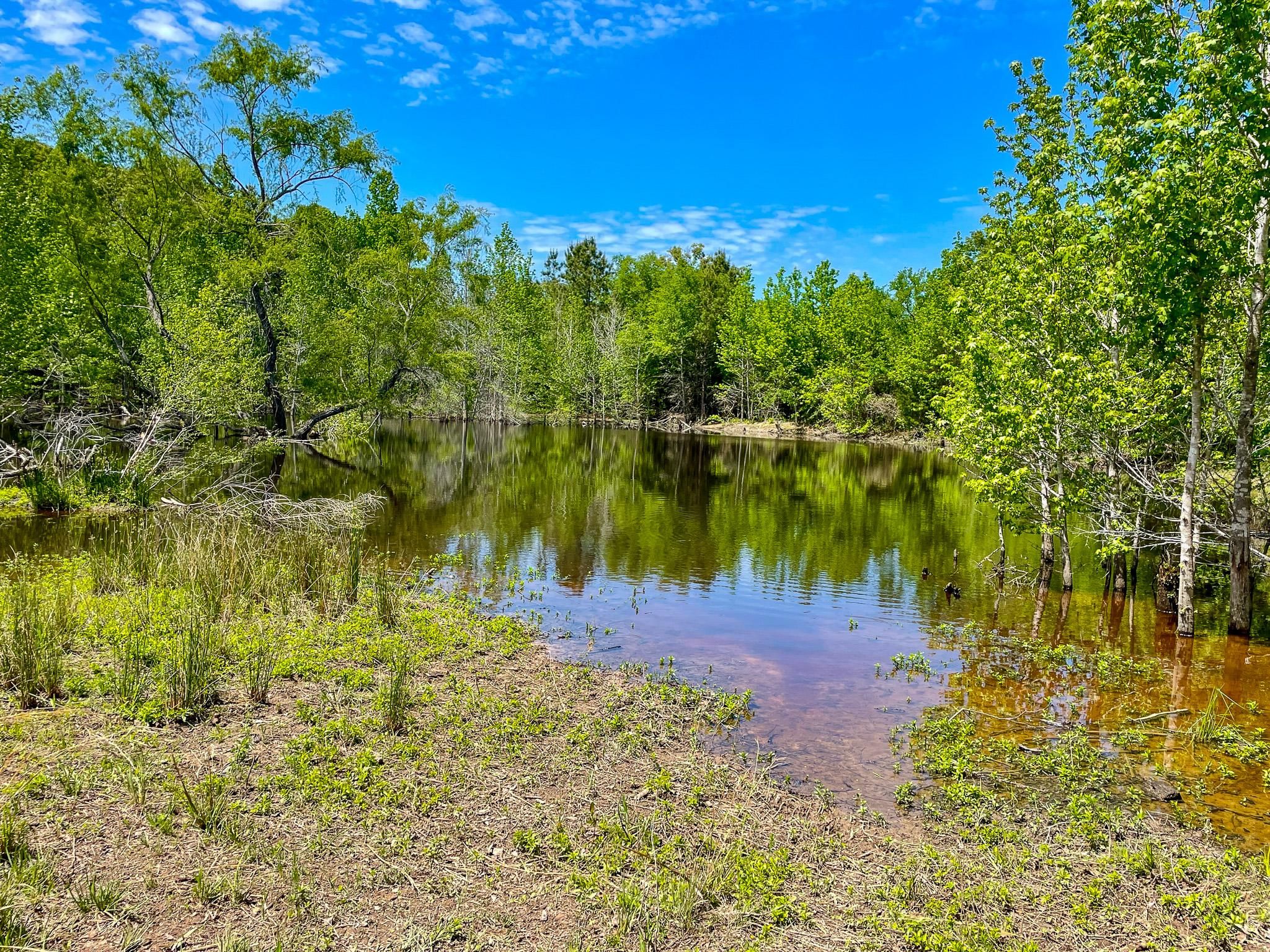 205.13 acres in Ben Wheeler, TX, 75754 MLS Large Recreation Tract in