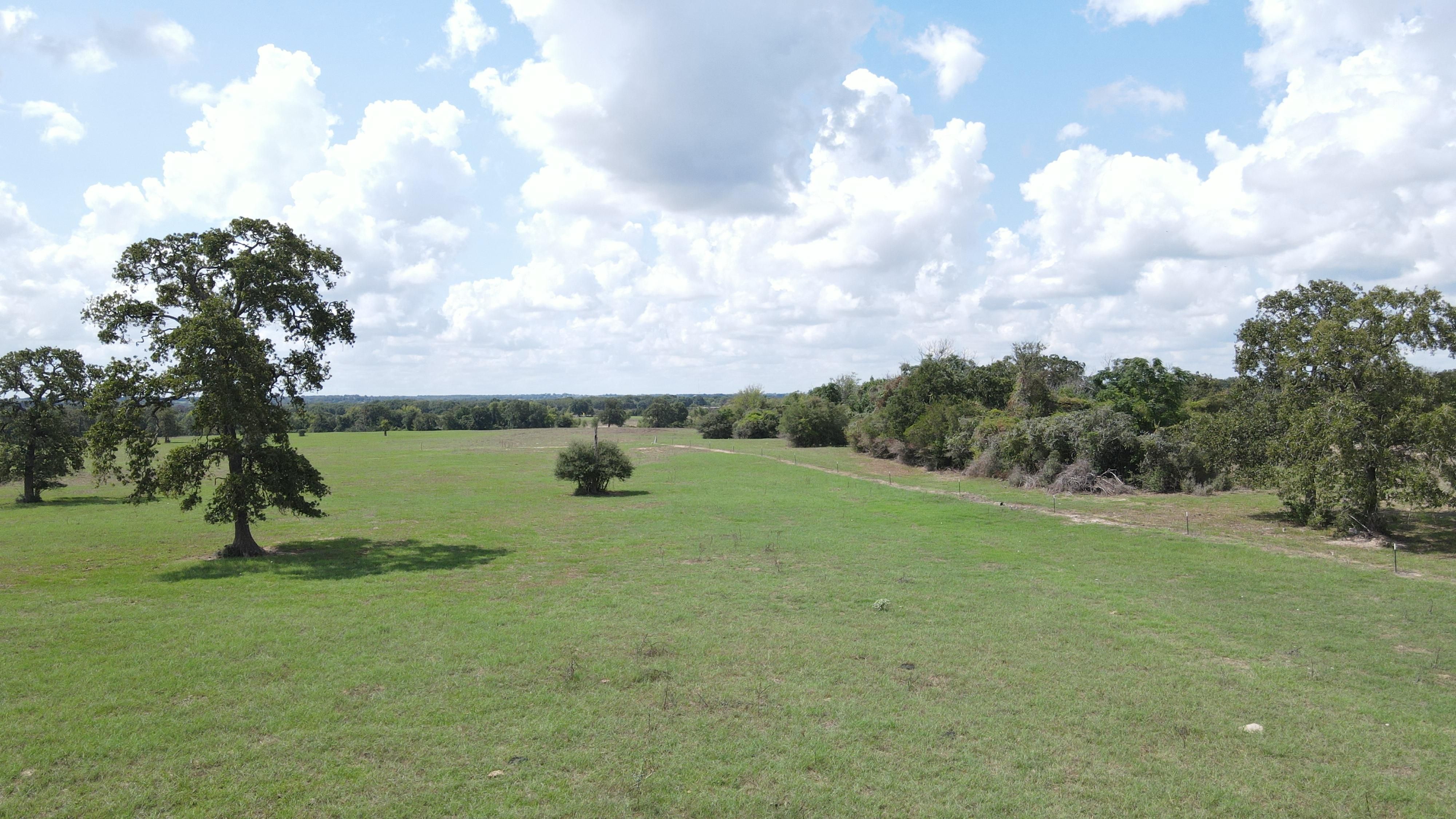 Caldwell, Burleson County, TX Undeveloped Land for sale Property ID