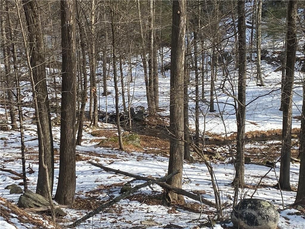 Wurtsboro, Sullivan County, NY Undeveloped Land, Homesites for sale