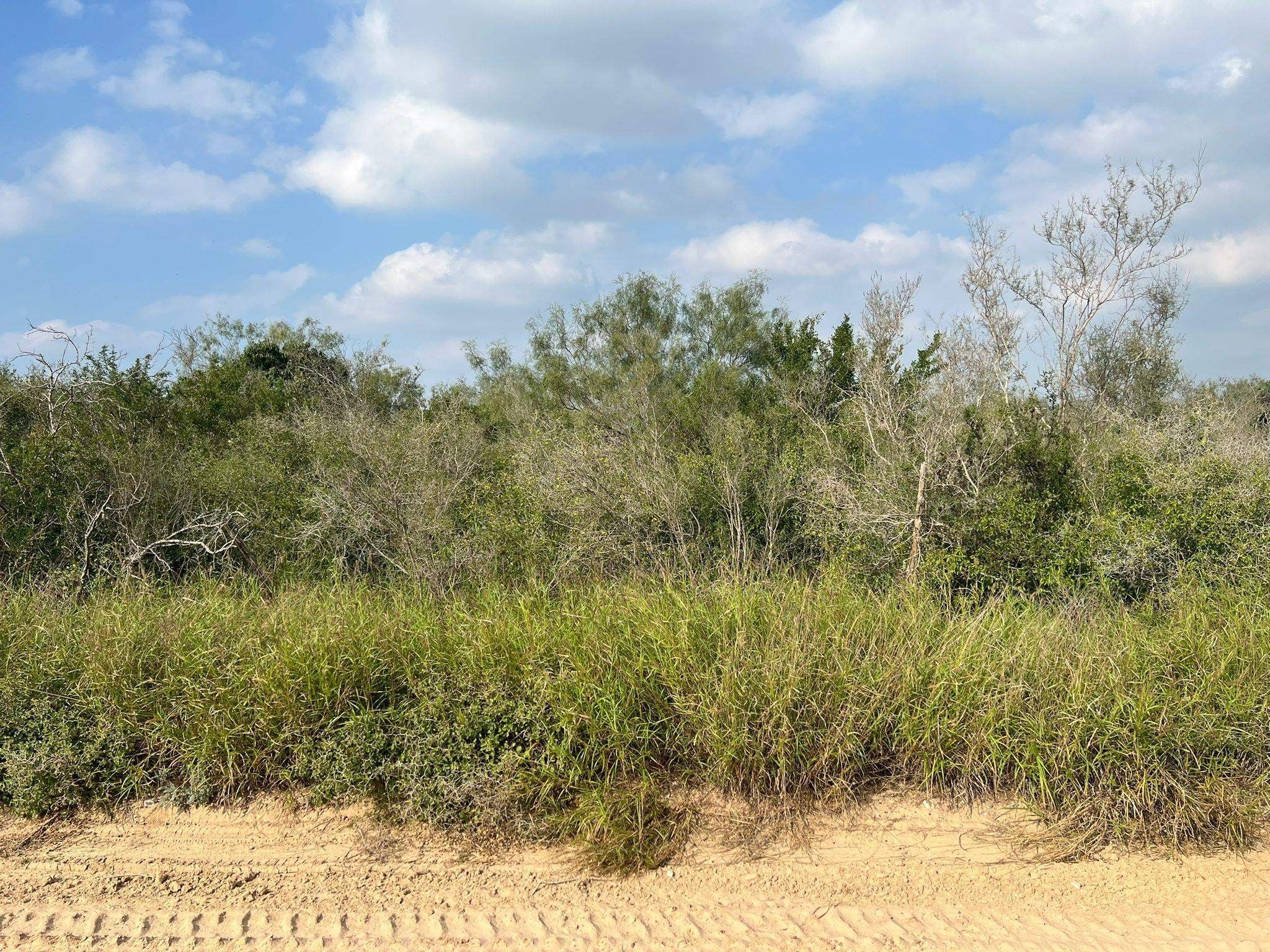 San Ygnacio, Zapata County, TX Farms and Ranches for sale Property ID