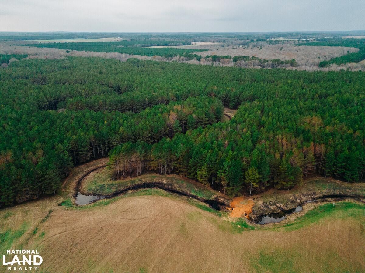 Vardaman, Calhoun County, MS Recreational Property, Timberland Property