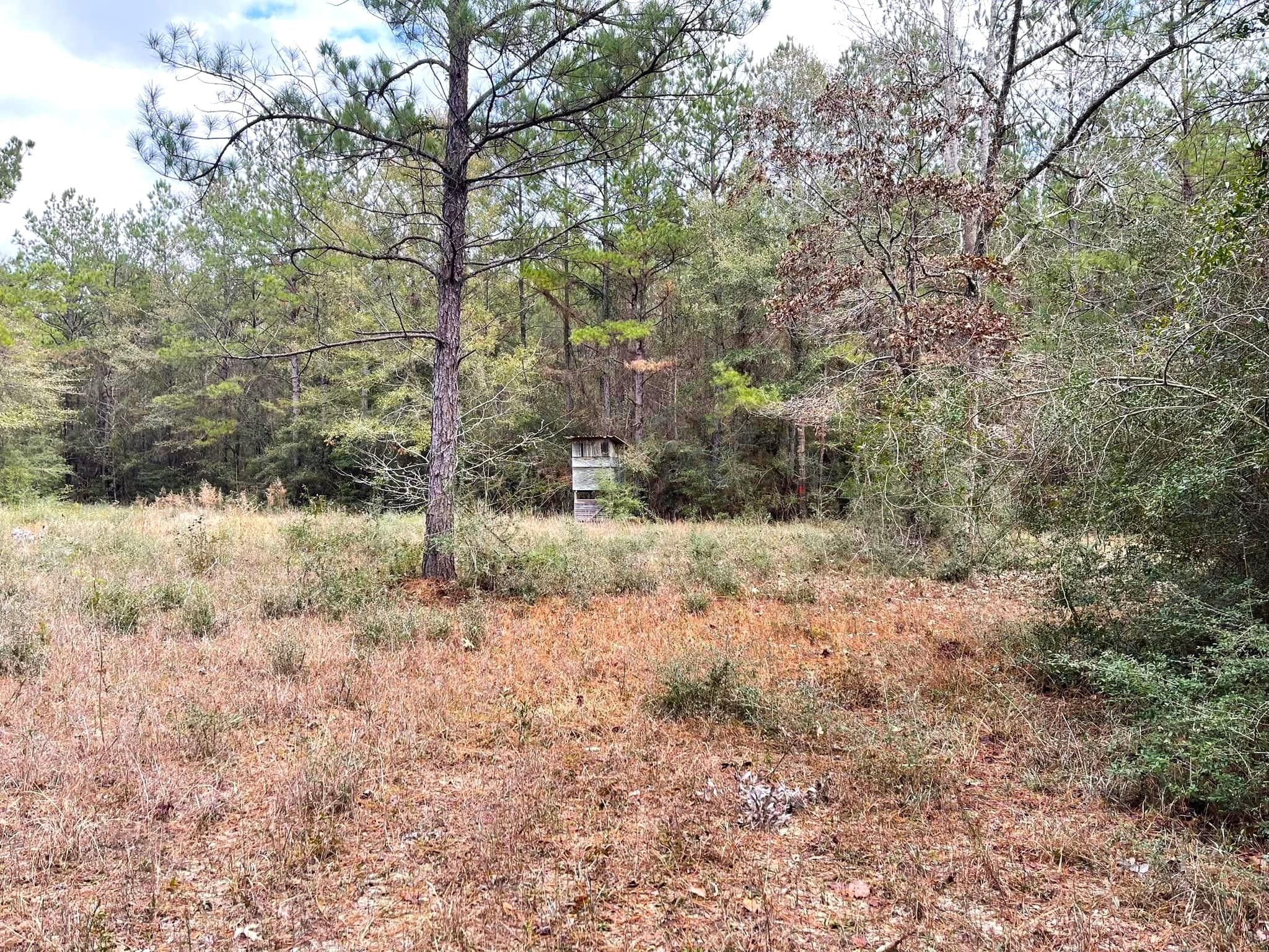 Hillister, Tyler County, TX Recreational Property, Hunting Property for