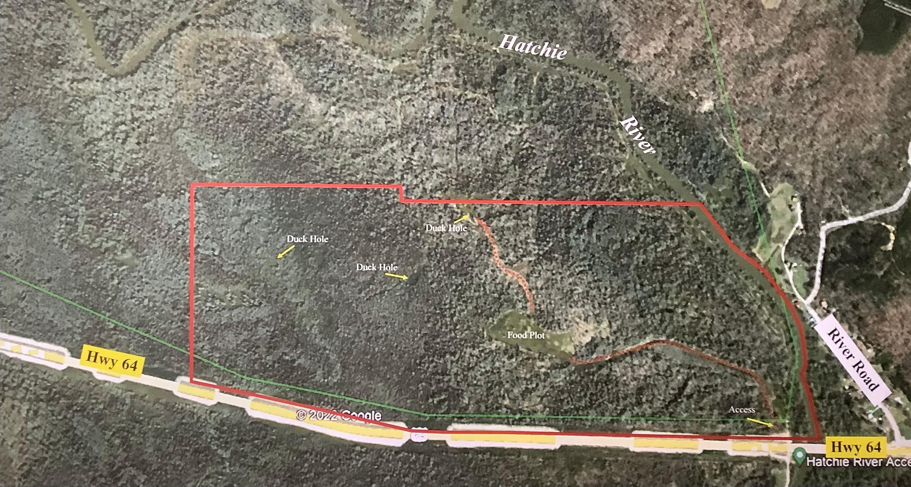 Bolivar, Hardeman County, TN Timberland Property, Undeveloped Land