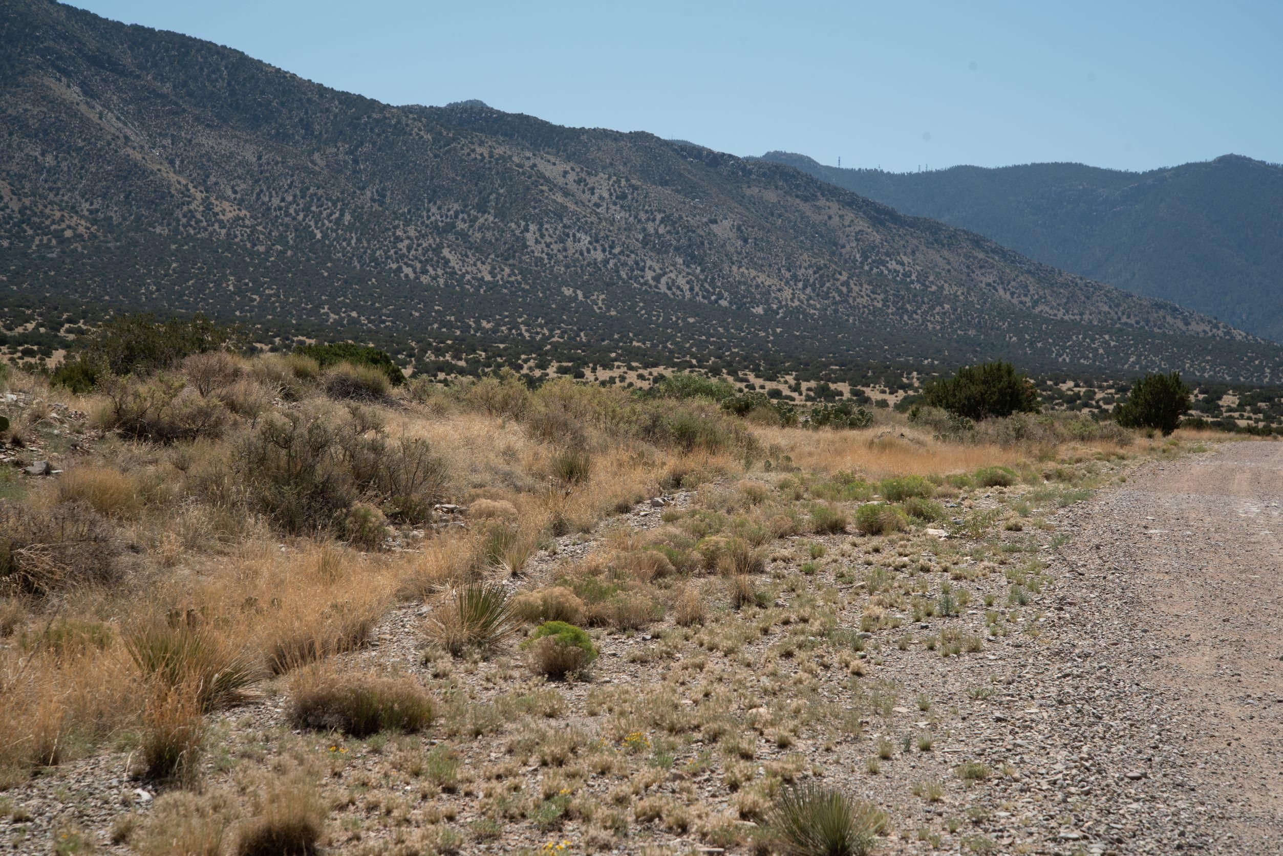 Los Lunas, Valencia County, NM Recreational Property, Undeveloped Land