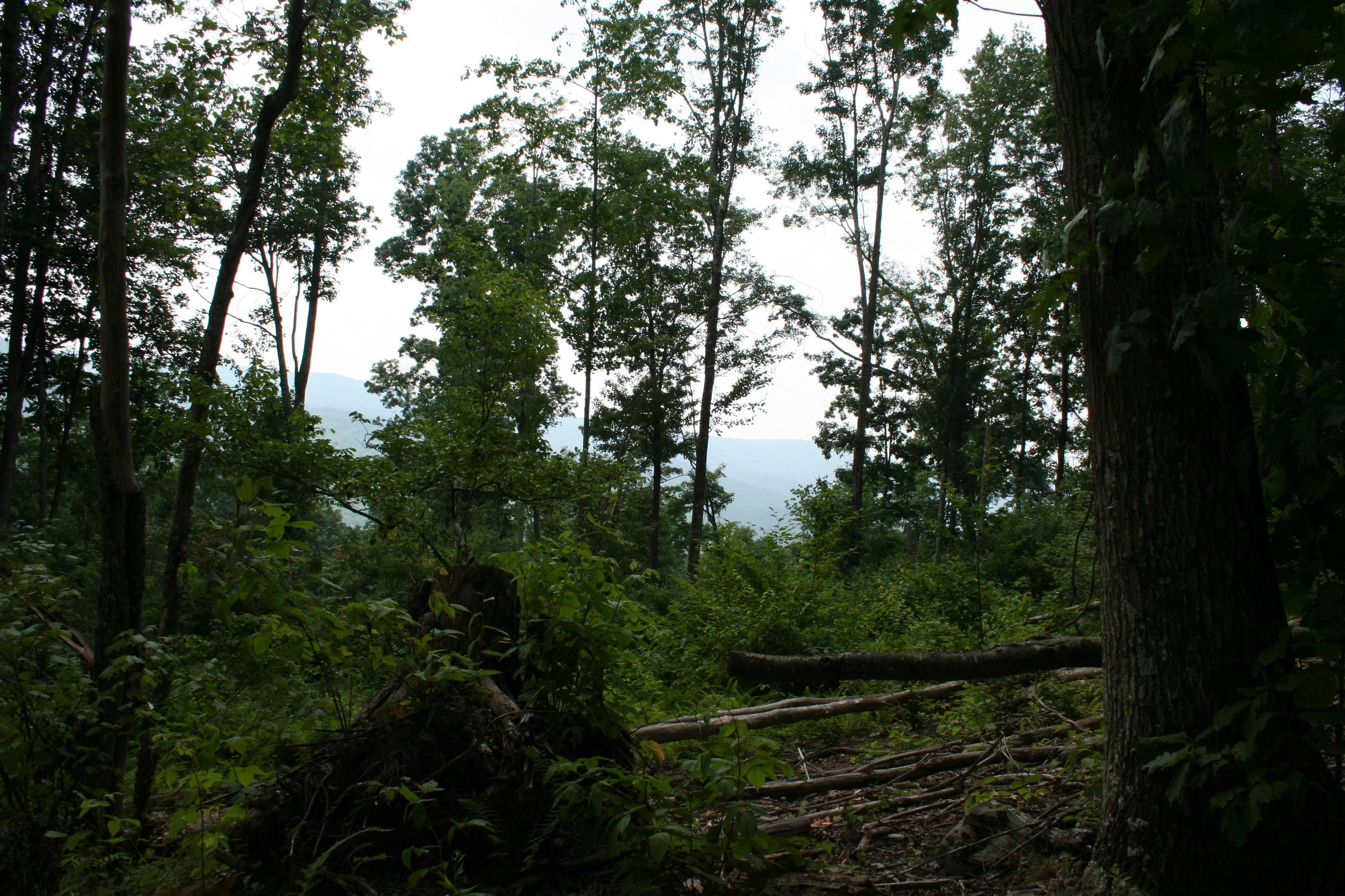 Monterey, Highland County, VA Recreational Property, Undeveloped Land