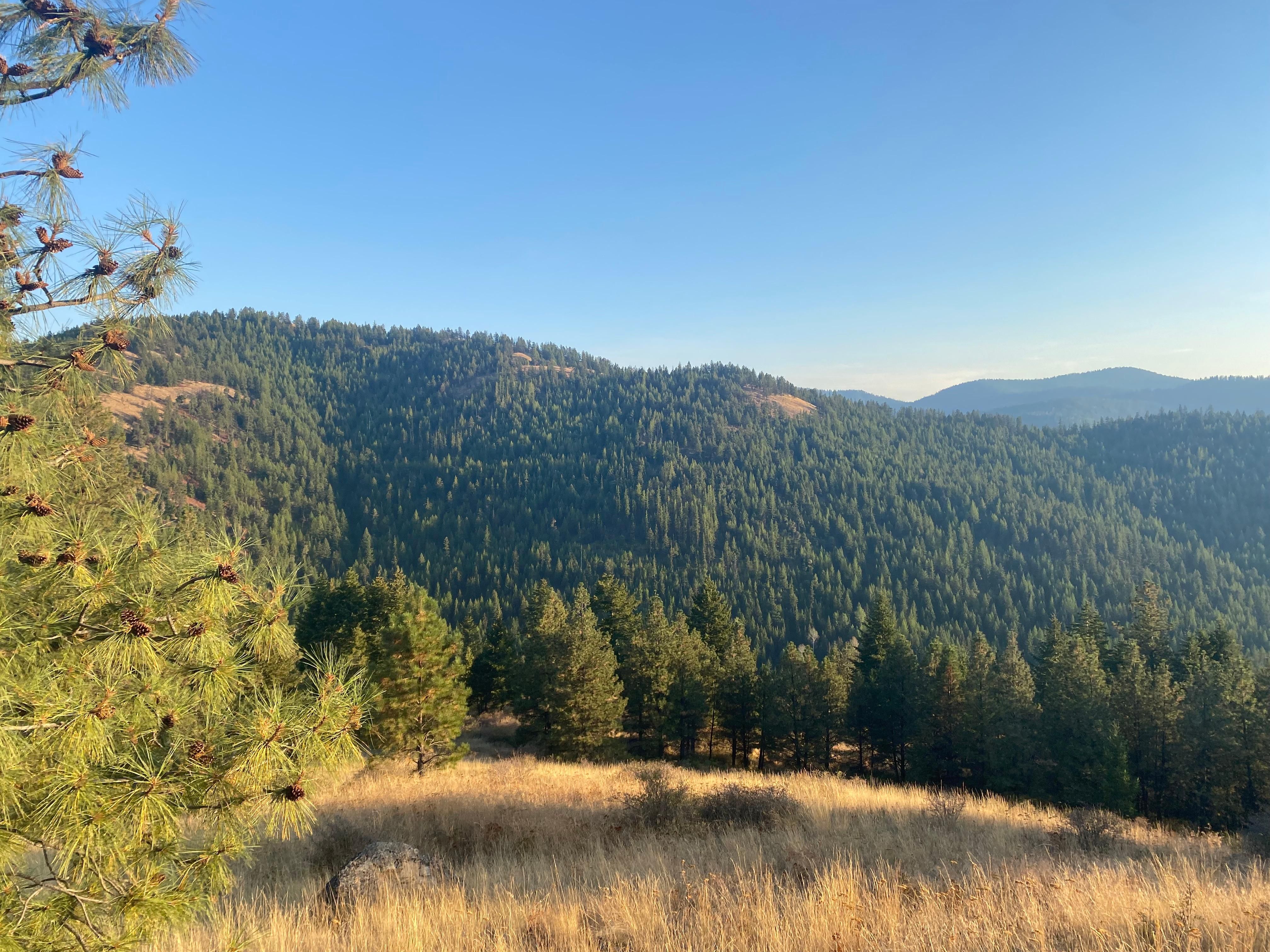 20 acres in Wauconda, WA, 98859 LandWatch