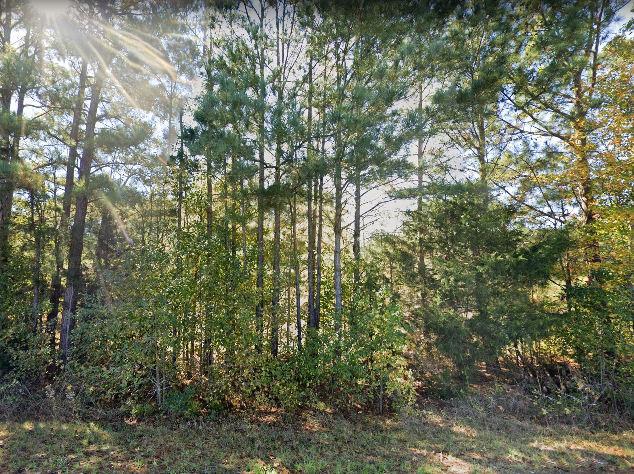 Warrenton, Warren County, NC Undeveloped Land, Horse Property