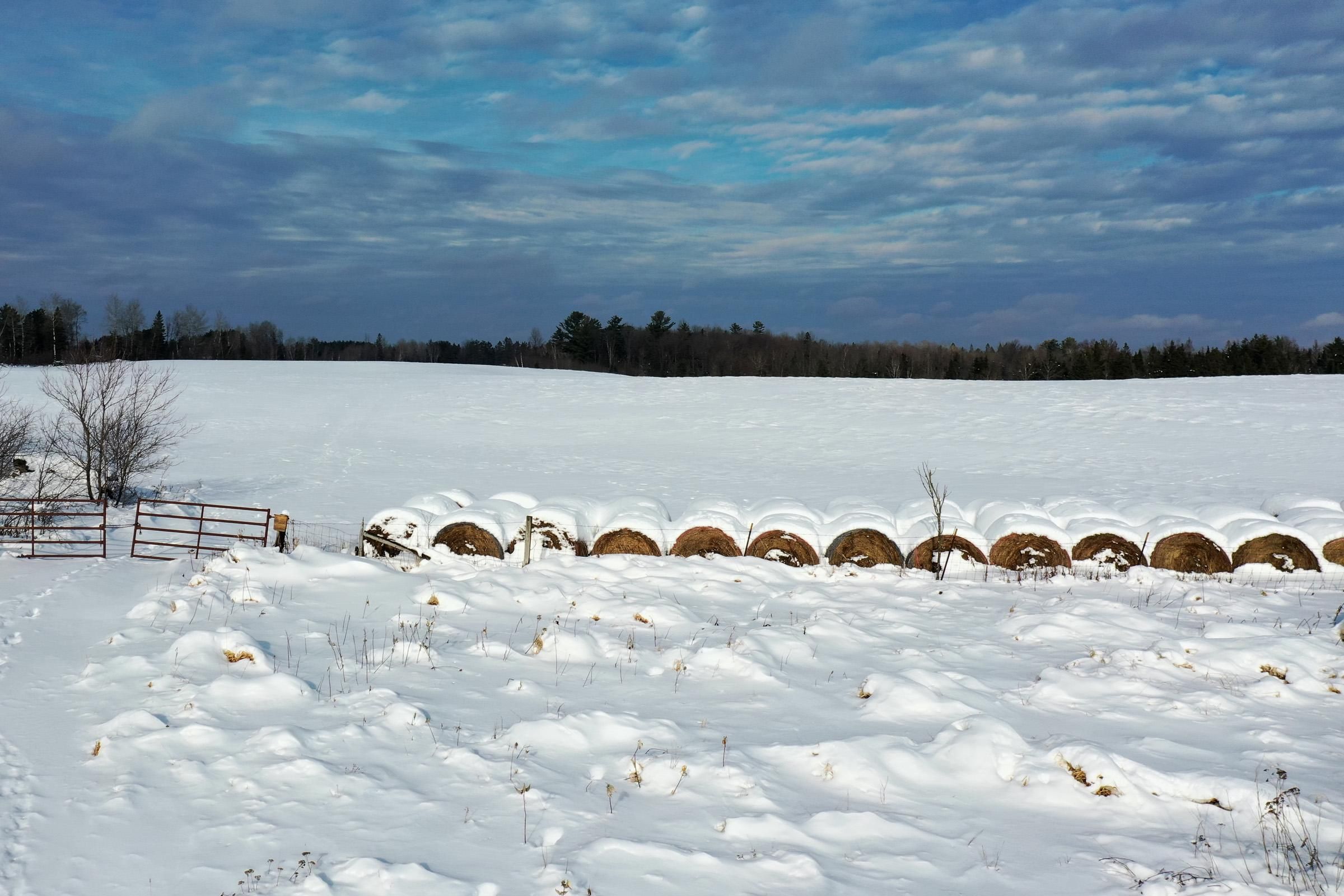 Westboro, Taylor County, WI Recreational Property, Hunting Property