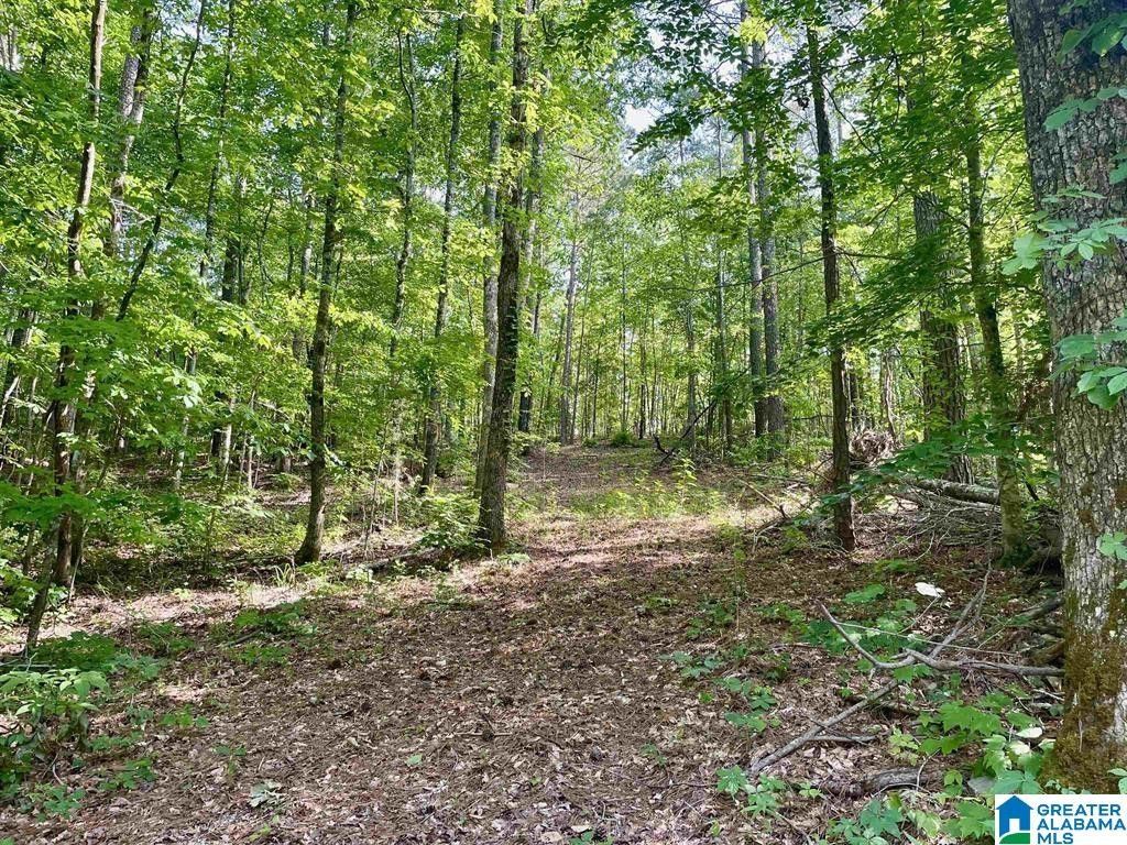 000 HIGHWAY 174, Odenville, AL 35120 MLS 1341754 LandWatch