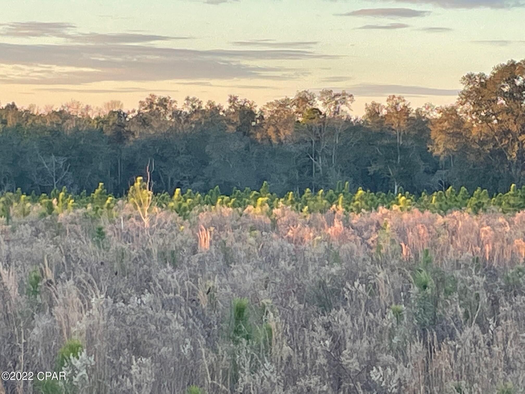 Greenwood, Jackson County, FL Undeveloped Land for sale Property ID