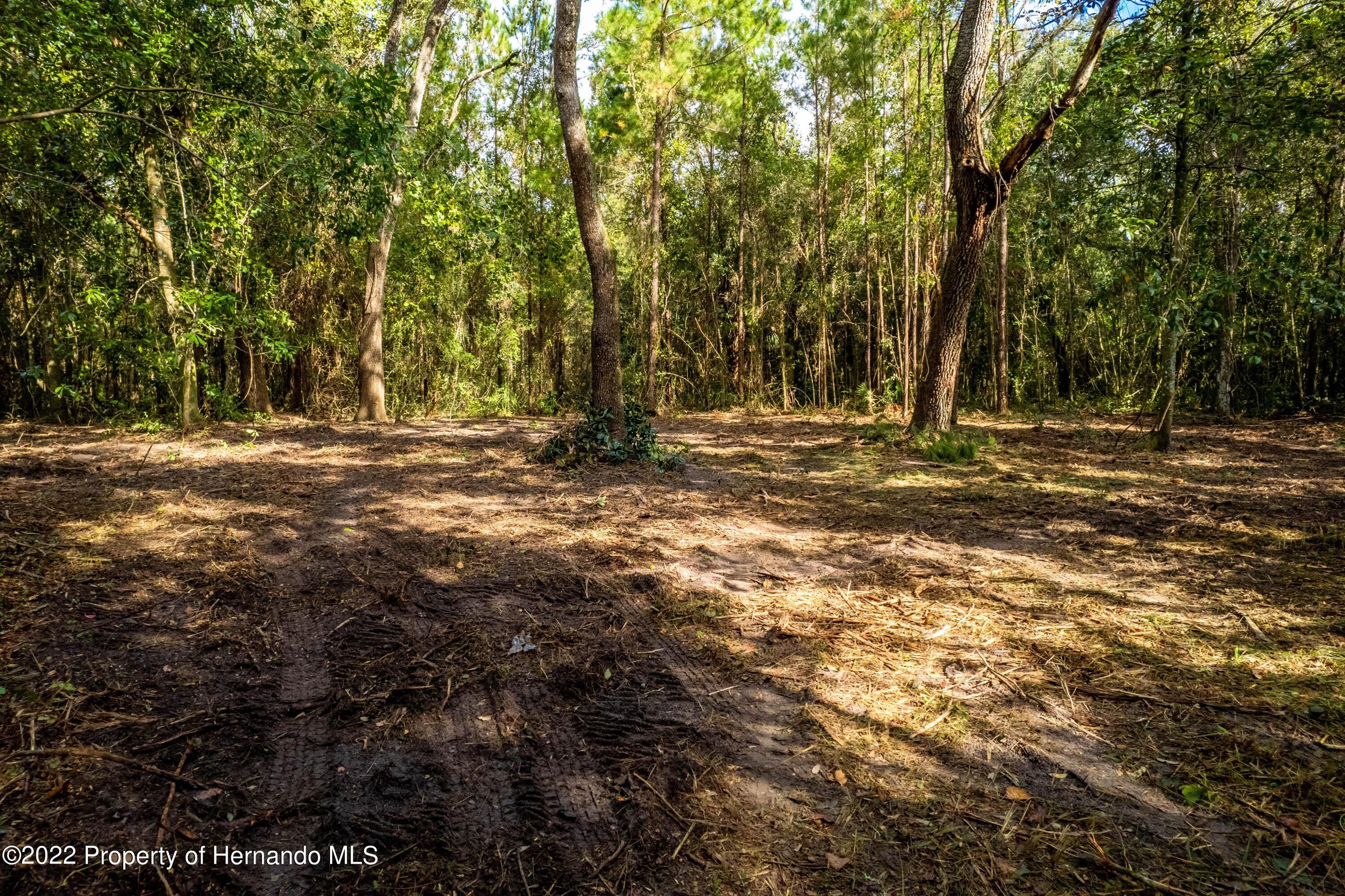 Brooksville, Hernando County, FL Farms and Ranches for sale Property ID