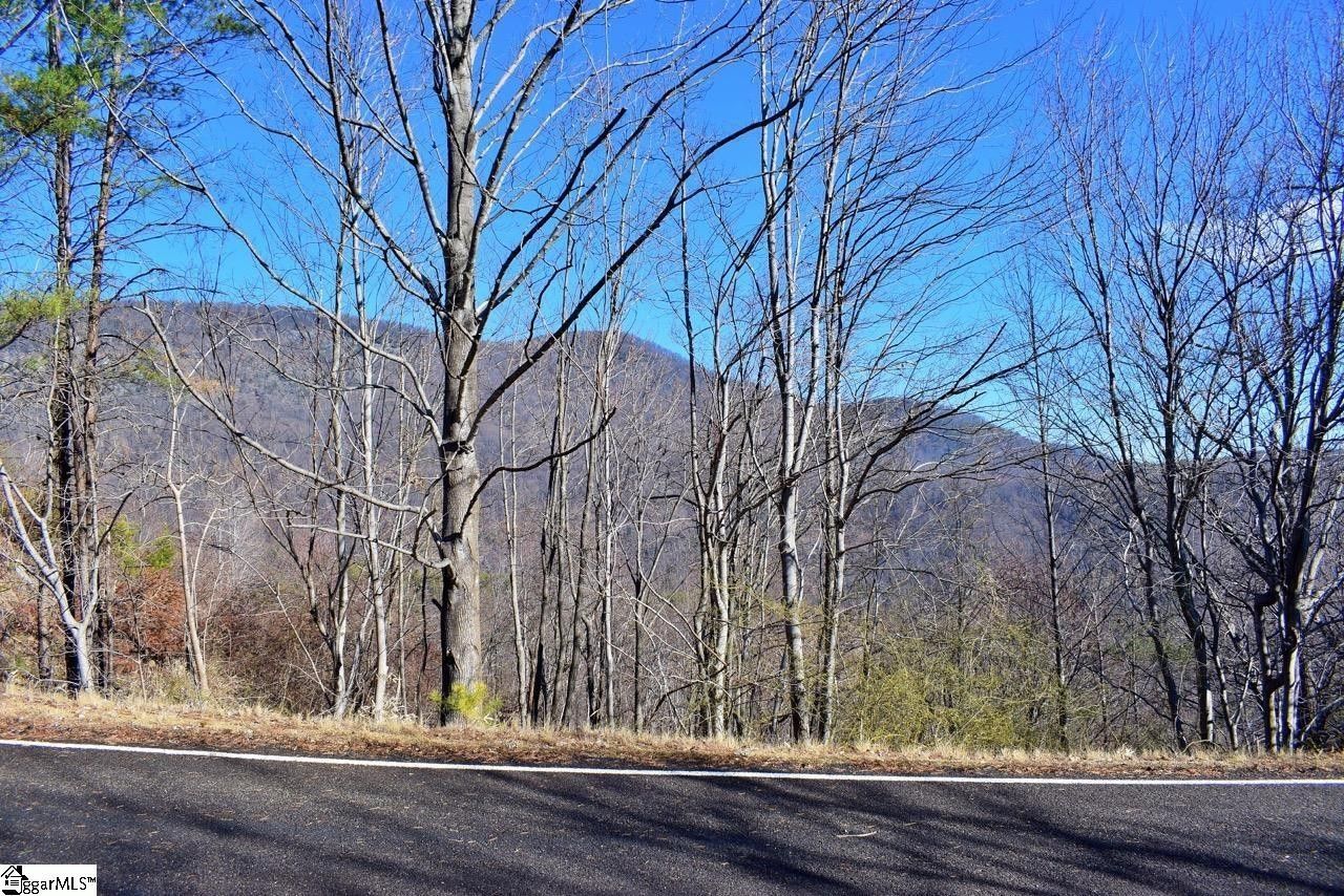 Landrum, Greenville County, SC Farms and Ranches, Homesites for sale