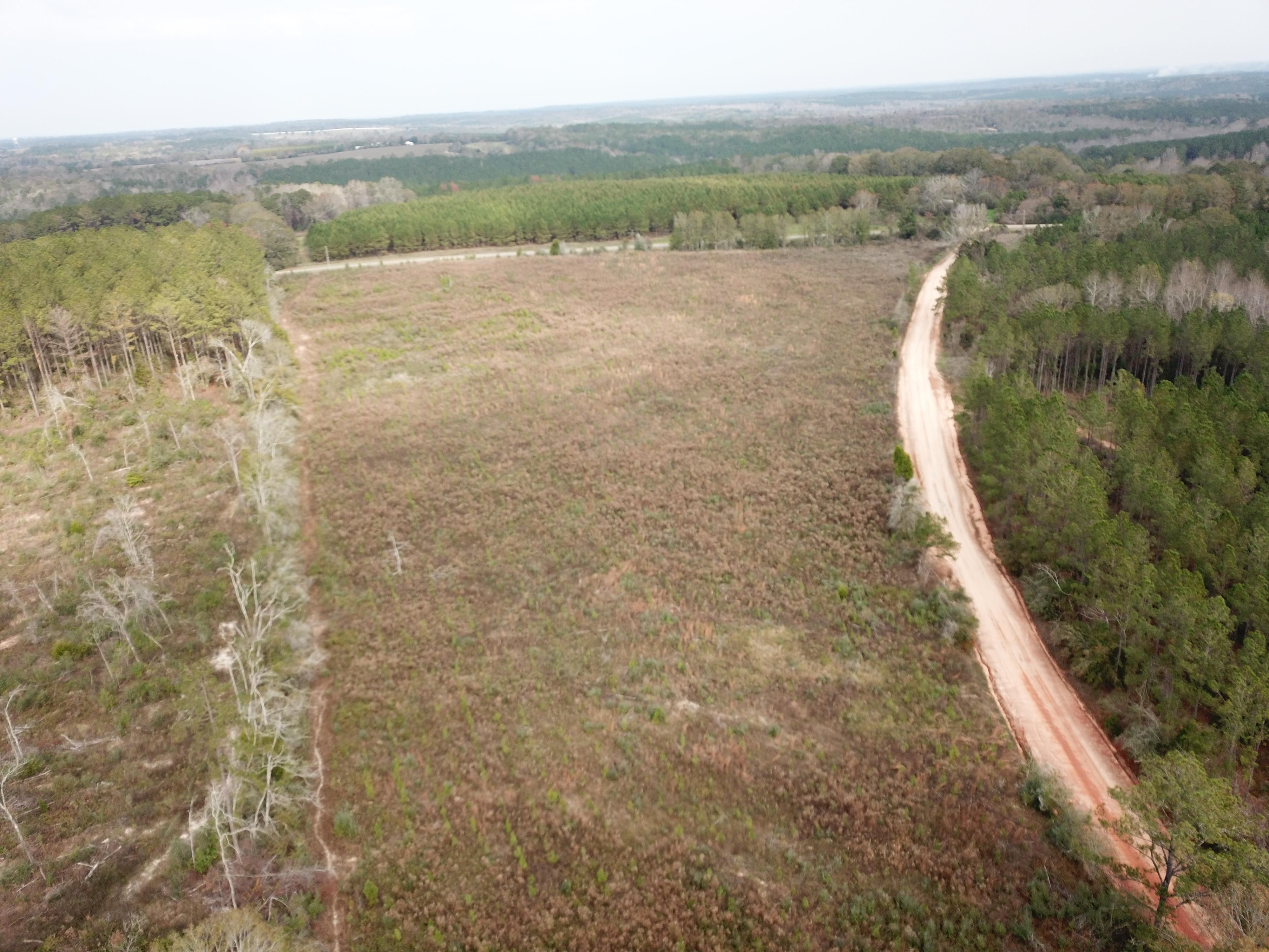 Elba, Coffee County, AL Undeveloped Land, Hunting Property for sale