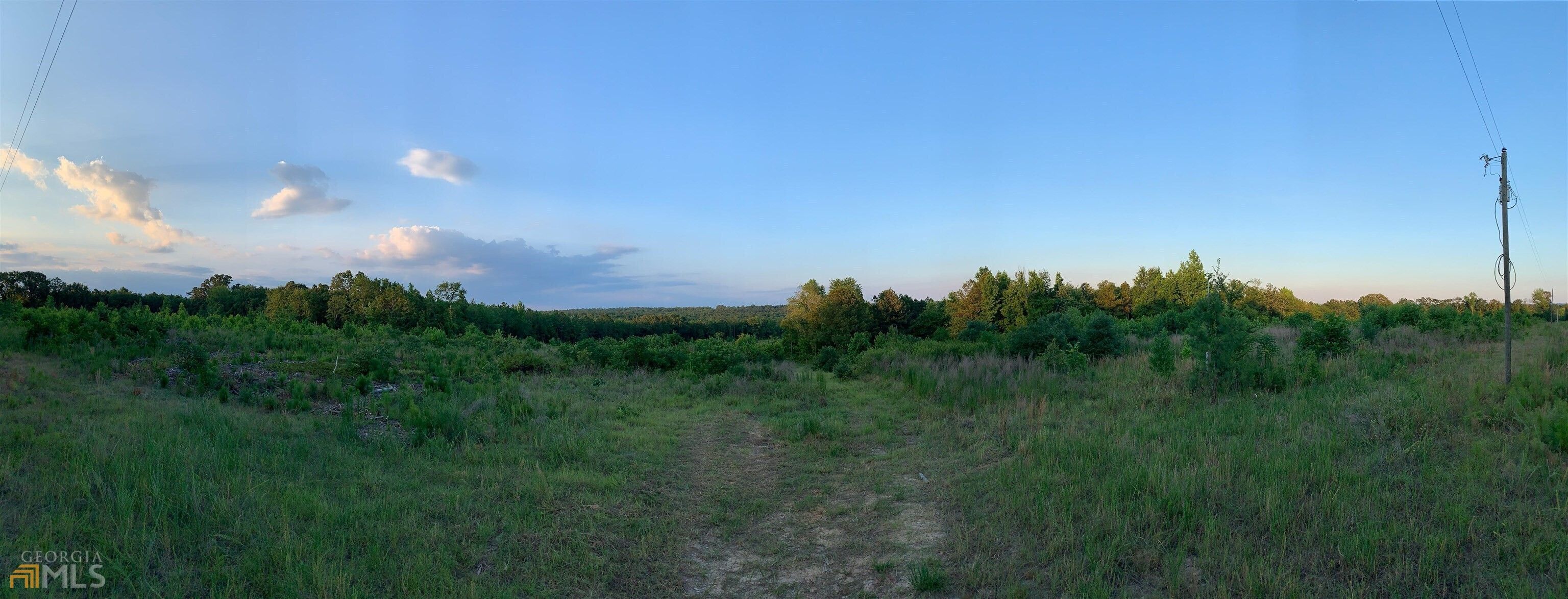 McIntyre, Wilkinson County, GA Undeveloped Land for sale Property ID