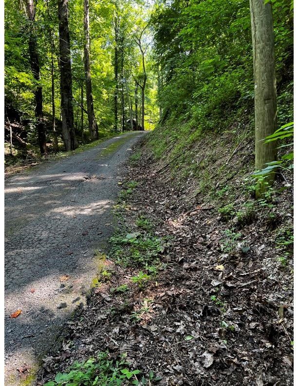 Pigeon Sevier County, TN Undeveloped Land, Homesites for sale