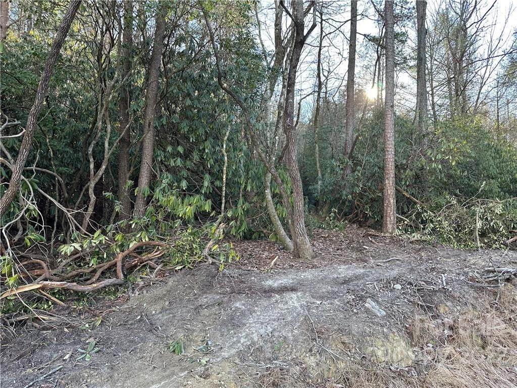 Marion, McDowell County, NC Undeveloped Land for sale Property ID