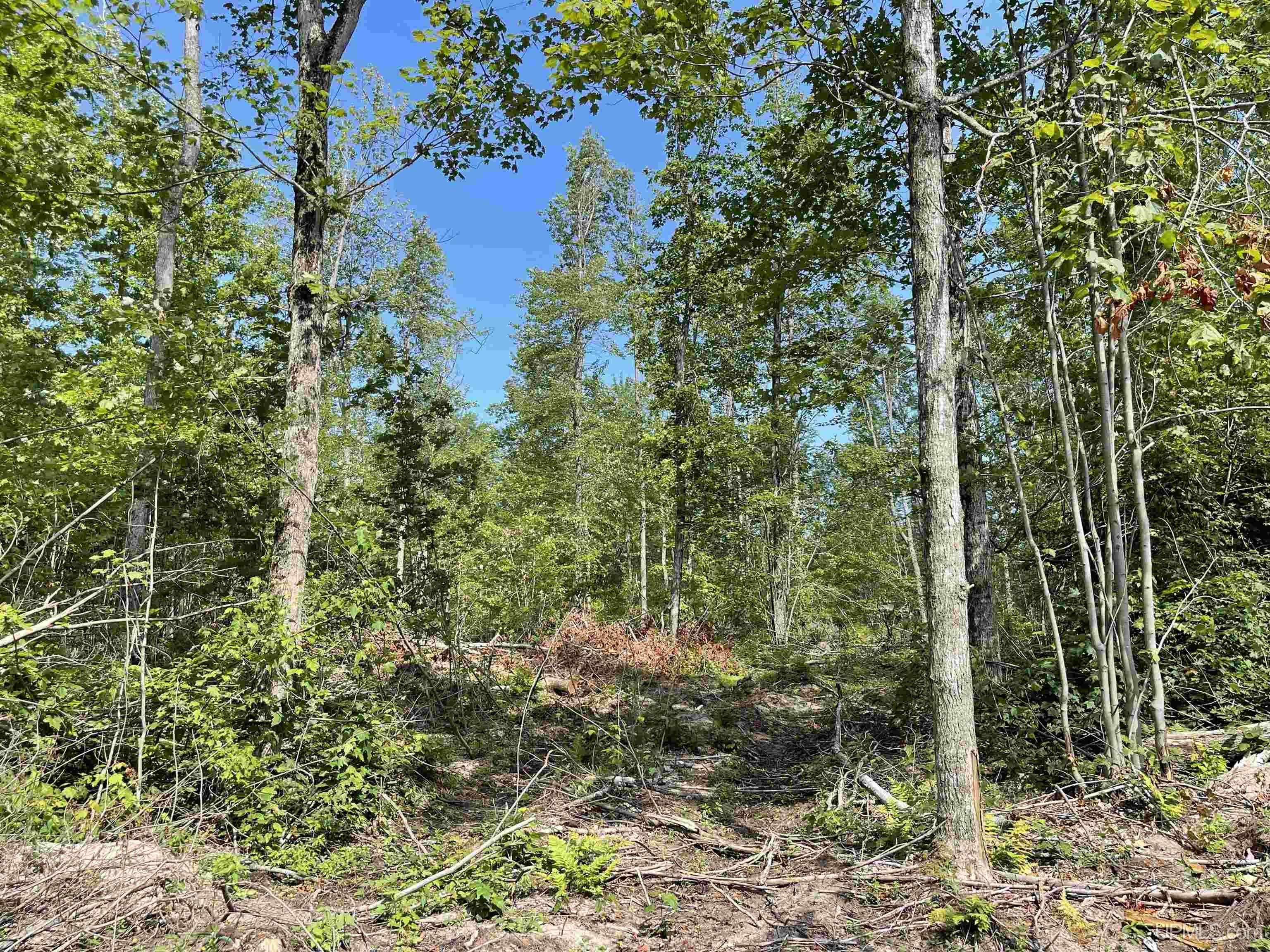 Germfask, Schoolcraft County, MI Farms and Ranches for sale Property ID