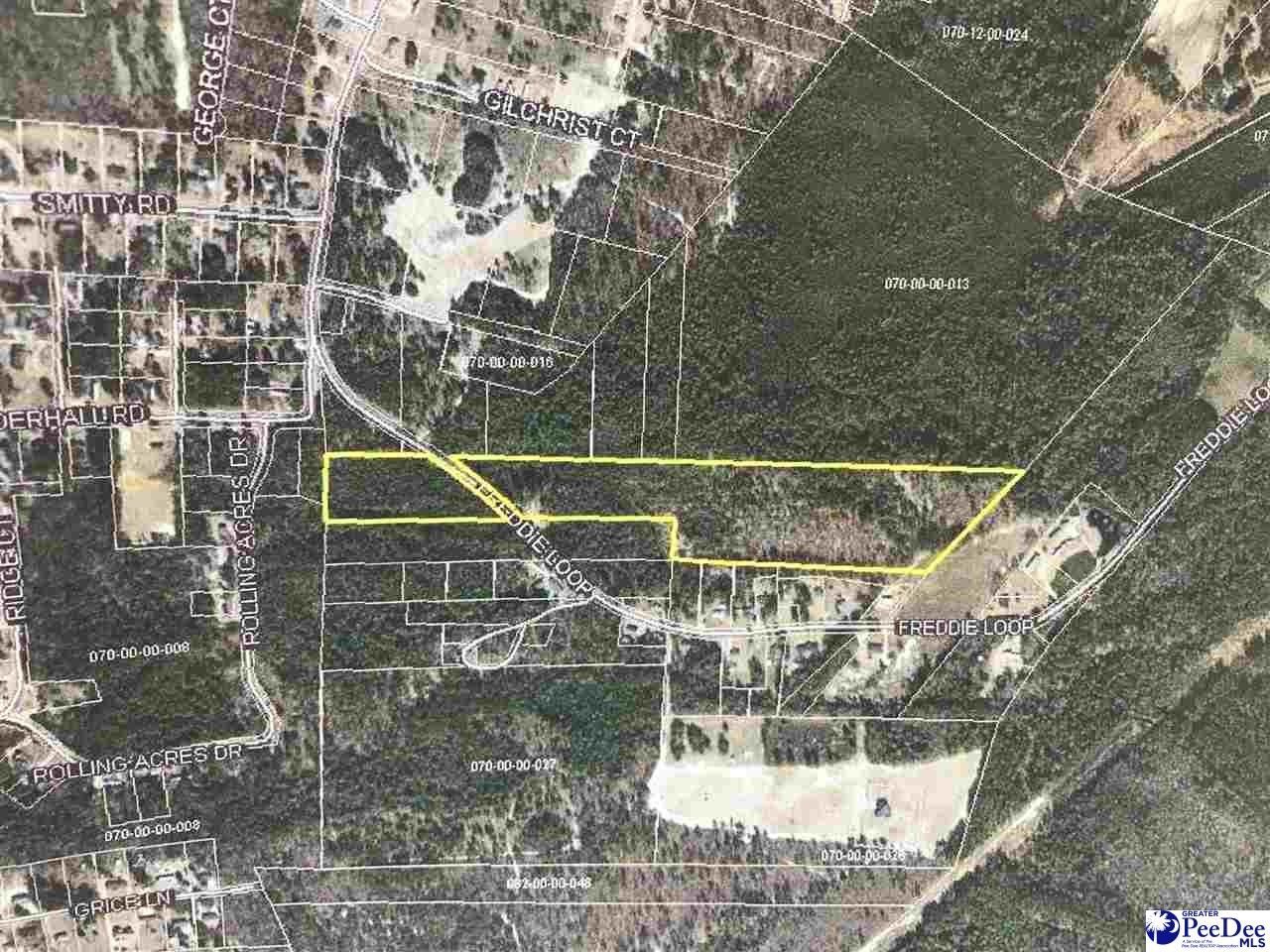 Dillon, Dillon County, SC Undeveloped Land for sale Property ID 414880482 LandWatch