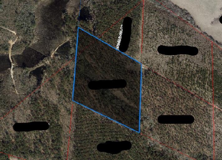 North, Orangeburg County, SC Undeveloped Land for sale Property ID 415517950 LandWatch