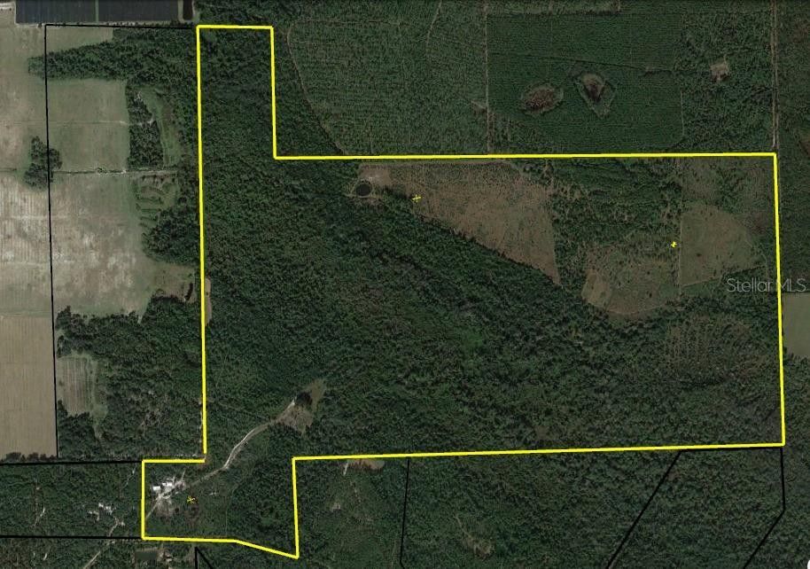 Pierson, Volusia County, FL House for sale Property ID 413857078