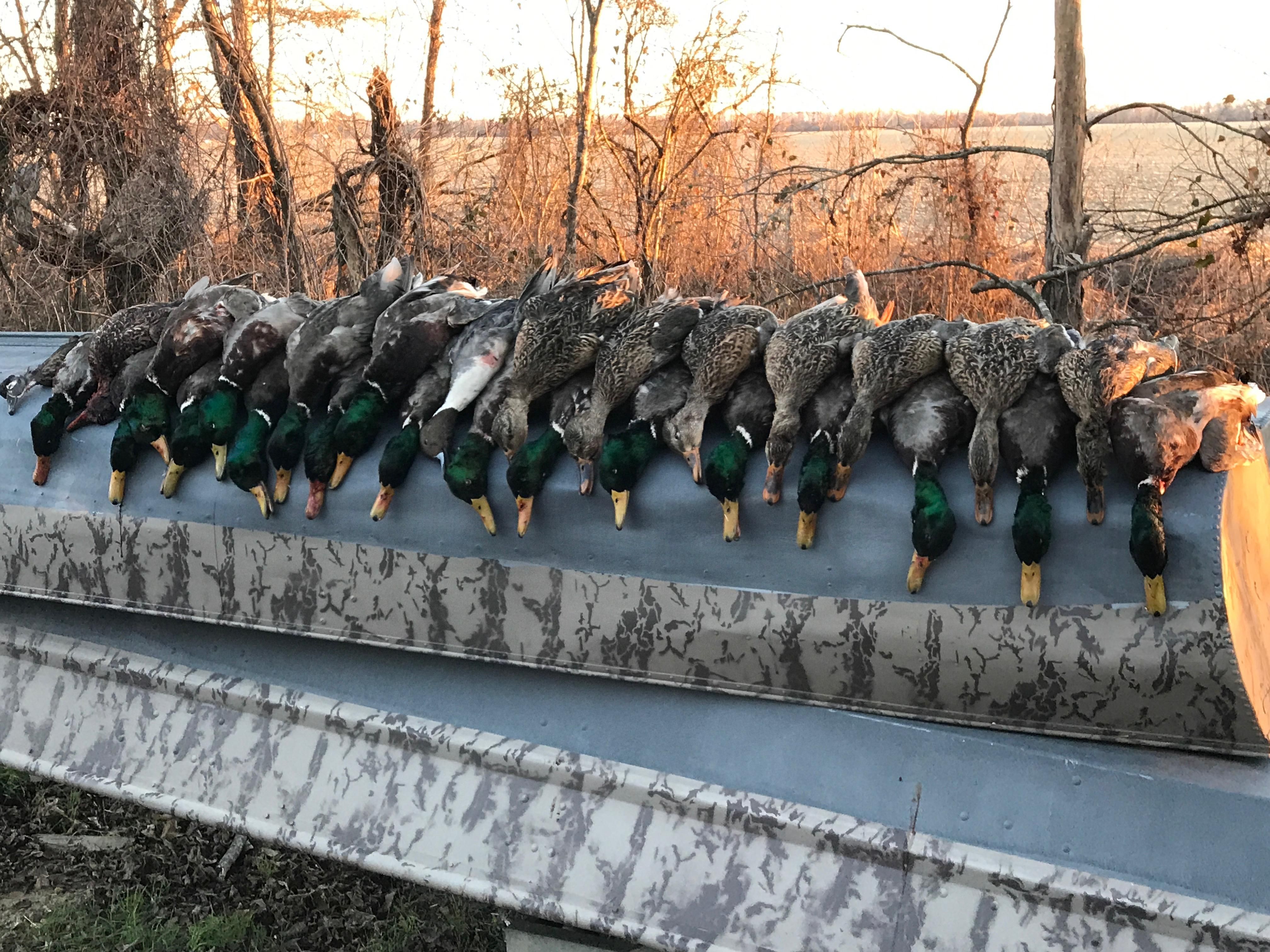 1,161.5 acres in MS, 38940 LandWatch