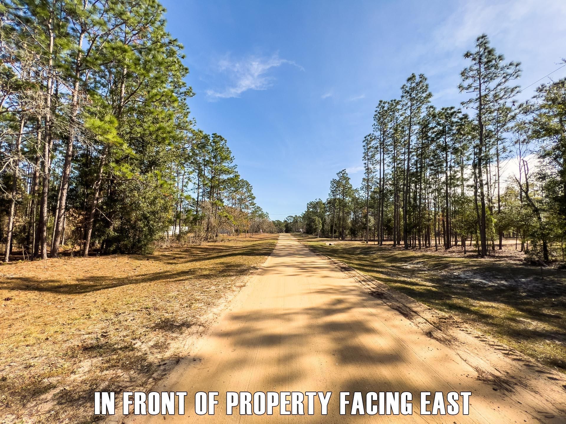 Hawthorne, Putnam County, FL Recreational Property, Undeveloped Land