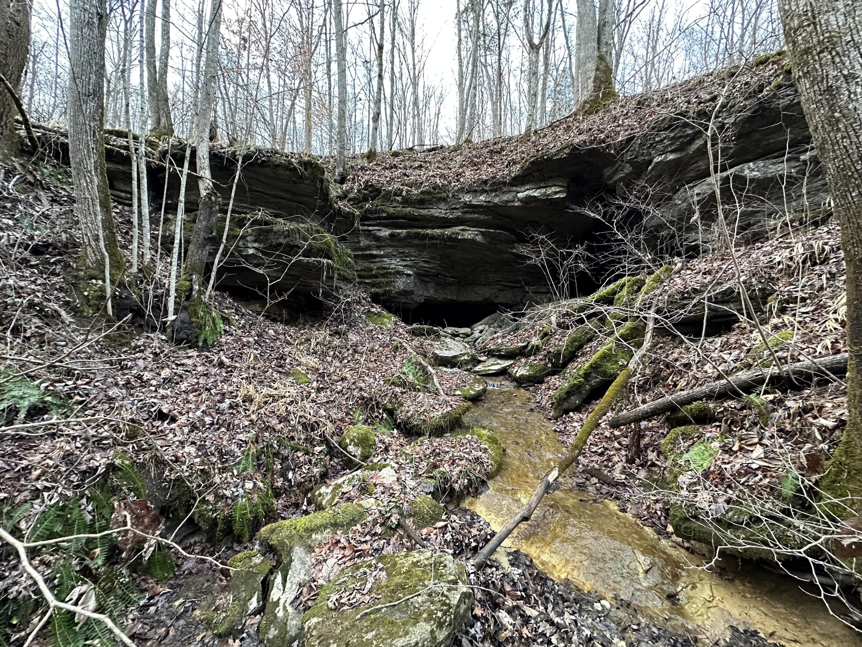 Stanton, Powell County, KY Farms and Ranches for sale Property ID