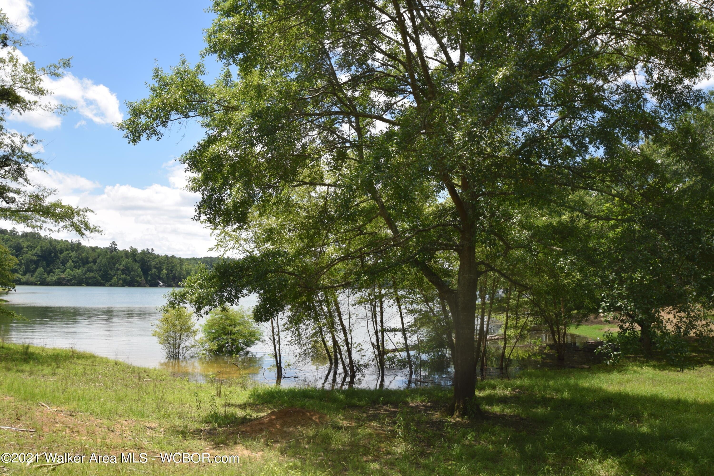 Houston, Winston County, AL Undeveloped Land, Lakefront Property