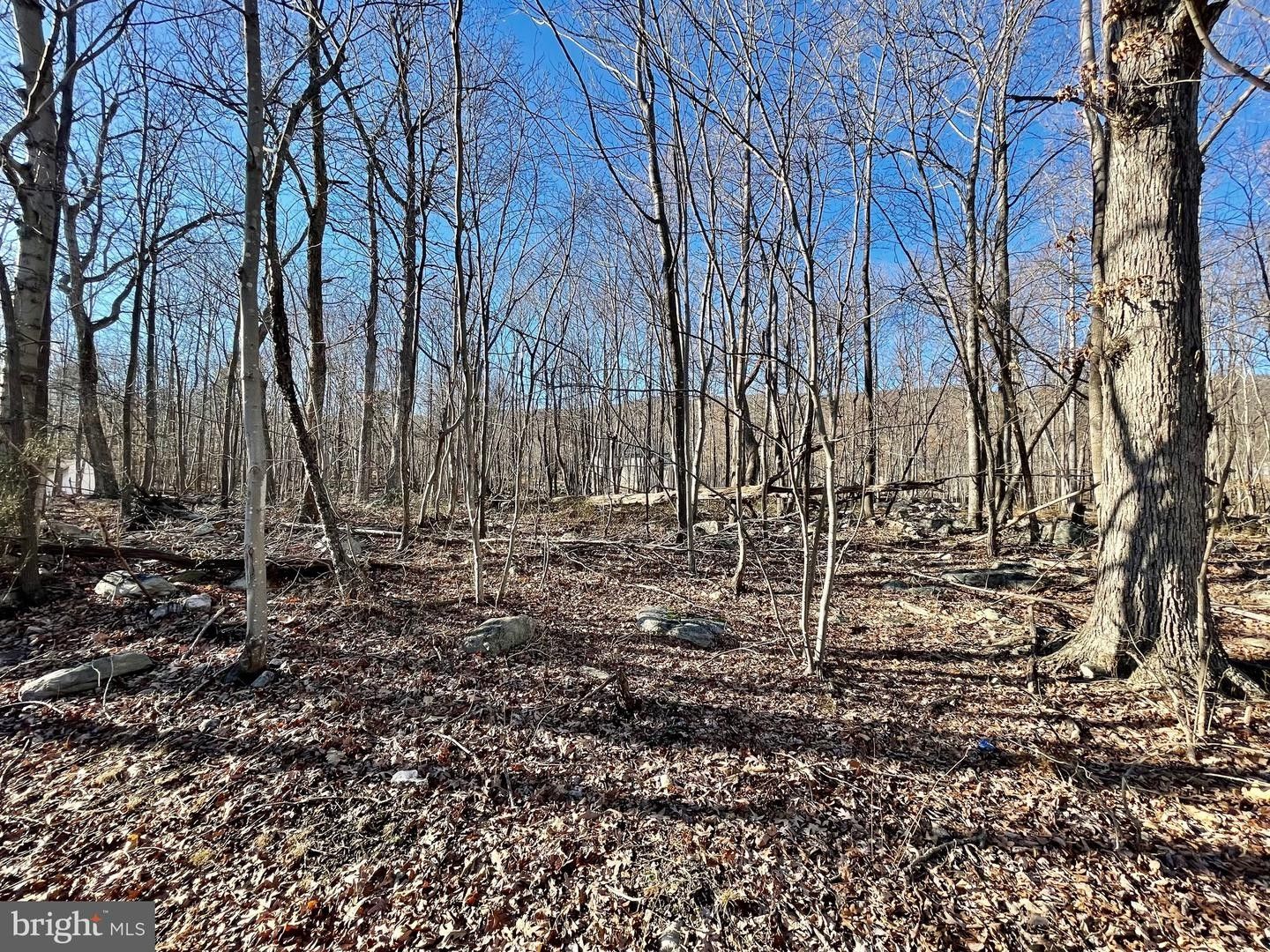 Winchester, Frederick County, VA Farms and Ranches, Homesites for sale