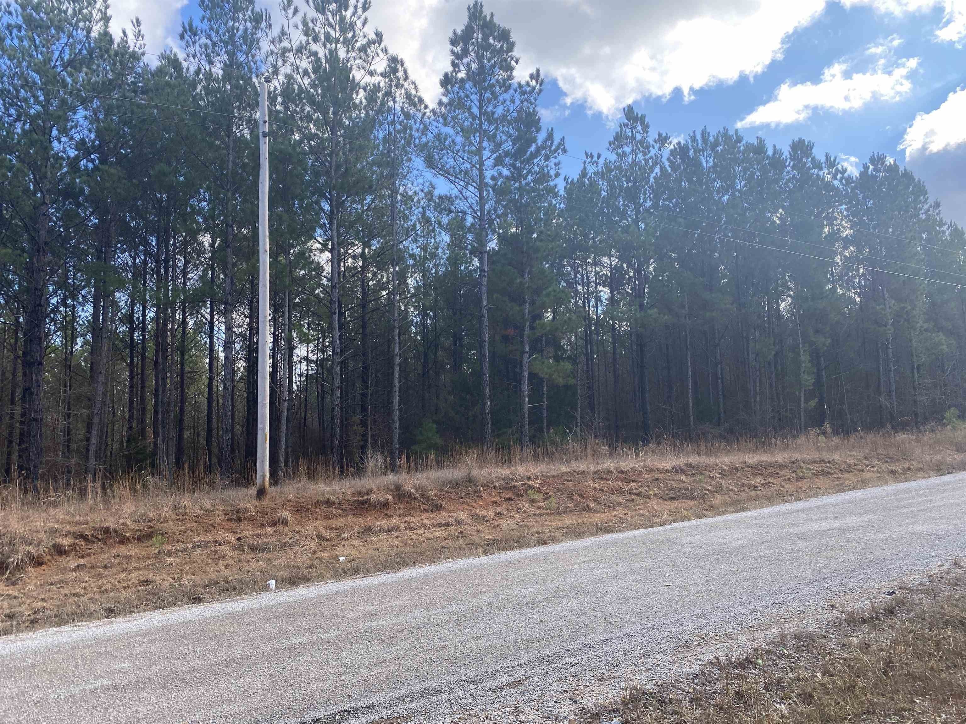 Tiplersville, Tippah County, MS Undeveloped Land for sale Property ID