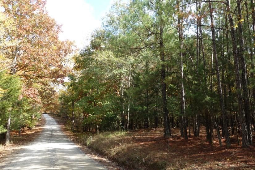 Buzhardt Road, Pomaria, SC 29126 MLS RB 47 Buzhardt LandWatch