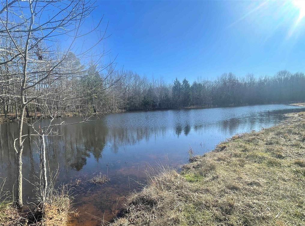 Avery, Red River County, TX Recreational Property, Hunting Property, Lakefront Property