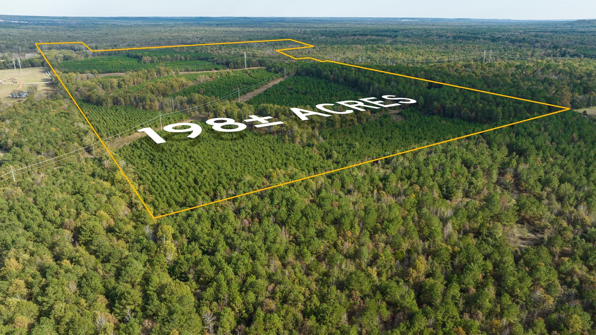 Pittsburg, Camp County, TX Recreational Property, Timberland Property