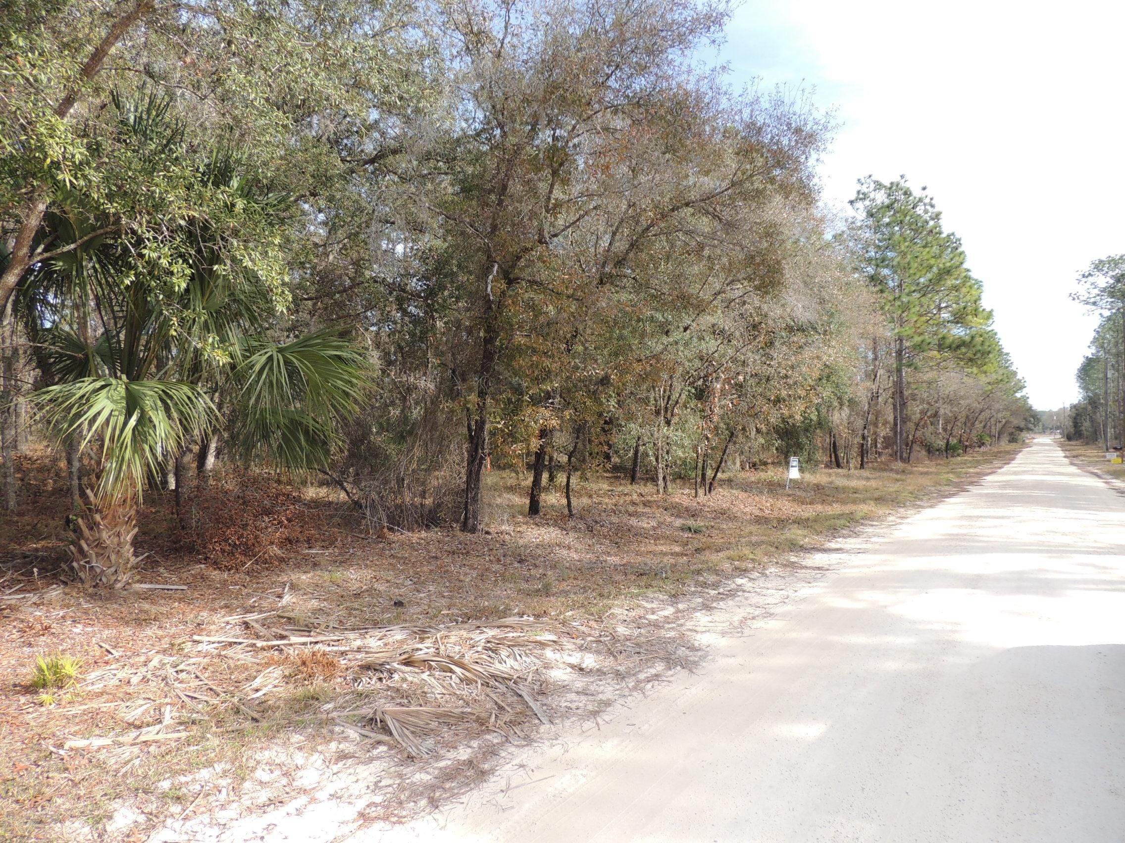 Morriston, Levy County, FL Homesites for sale Property ID 415526283