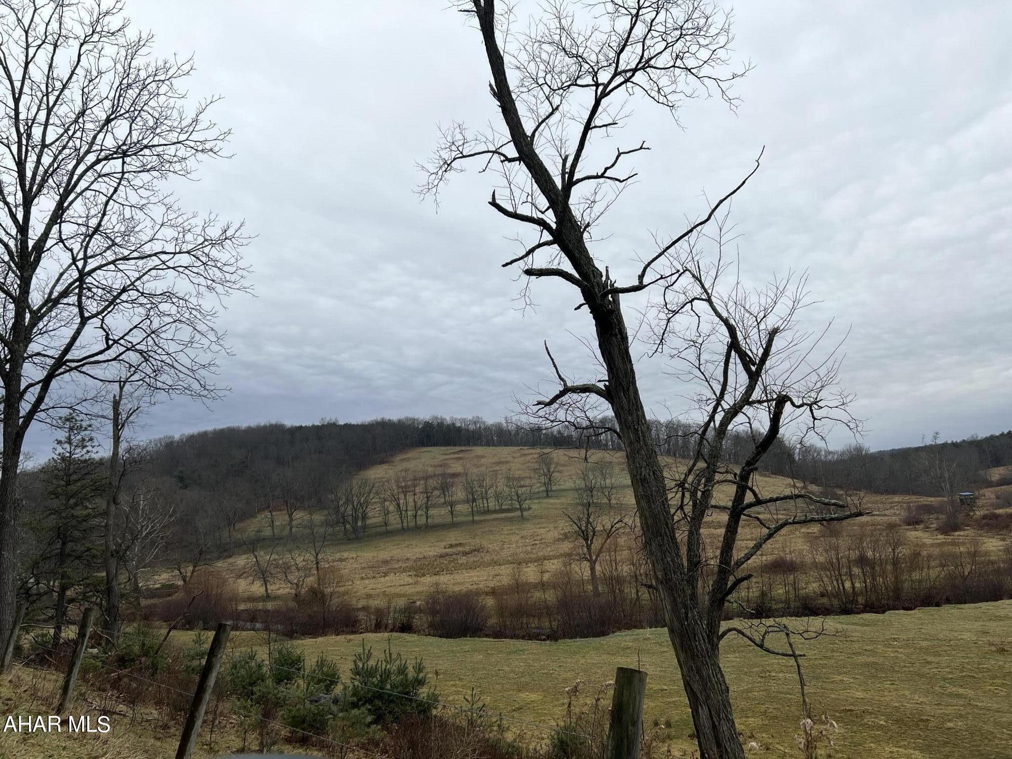 Clearville, Bedford County, PA Undeveloped Land for sale Property ID