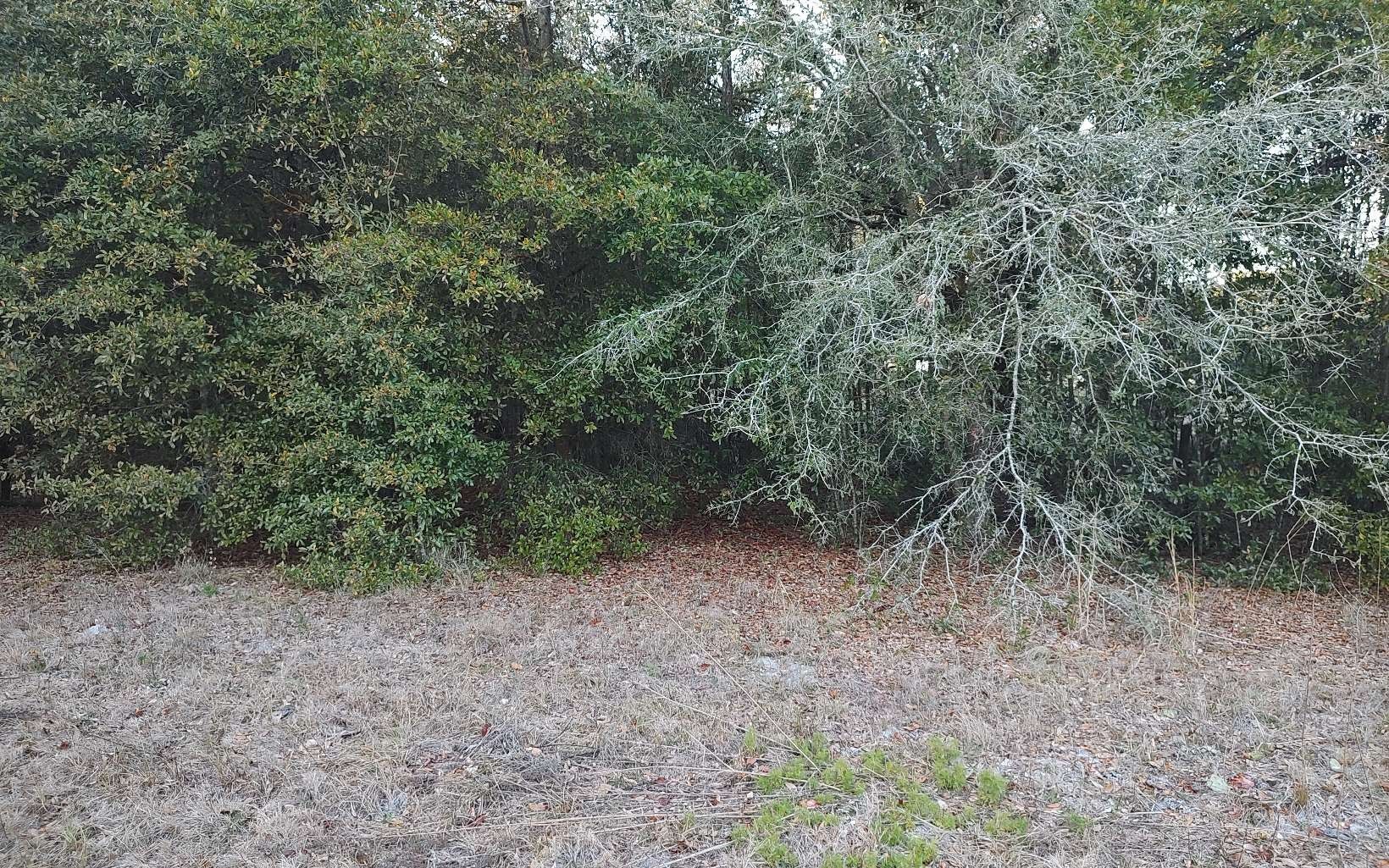 Live Oak, Suwannee County, FL Farms and Ranches, Homesites for sale