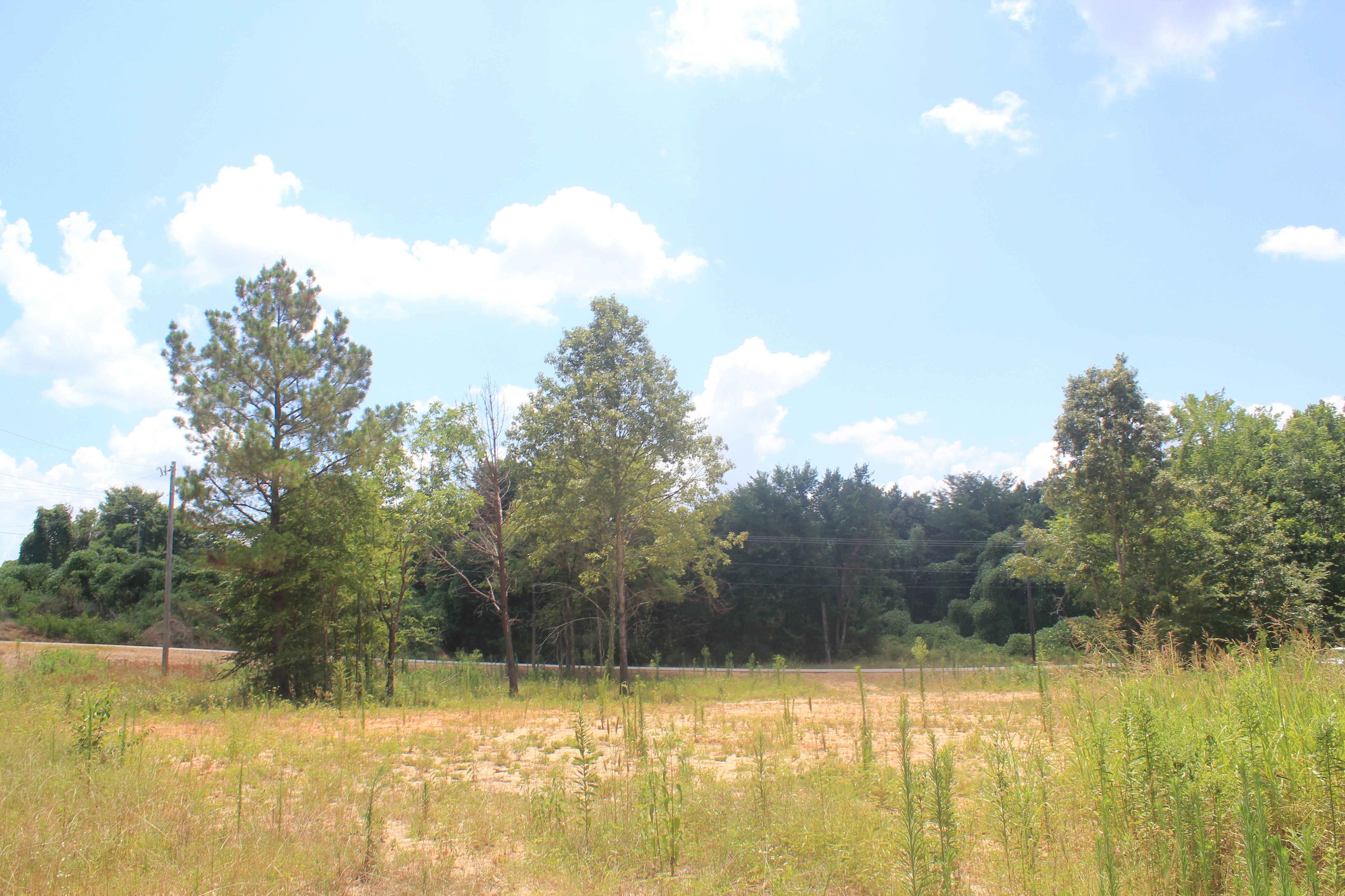 Byhalia, DeSoto County, MS Undeveloped Land for sale Property ID