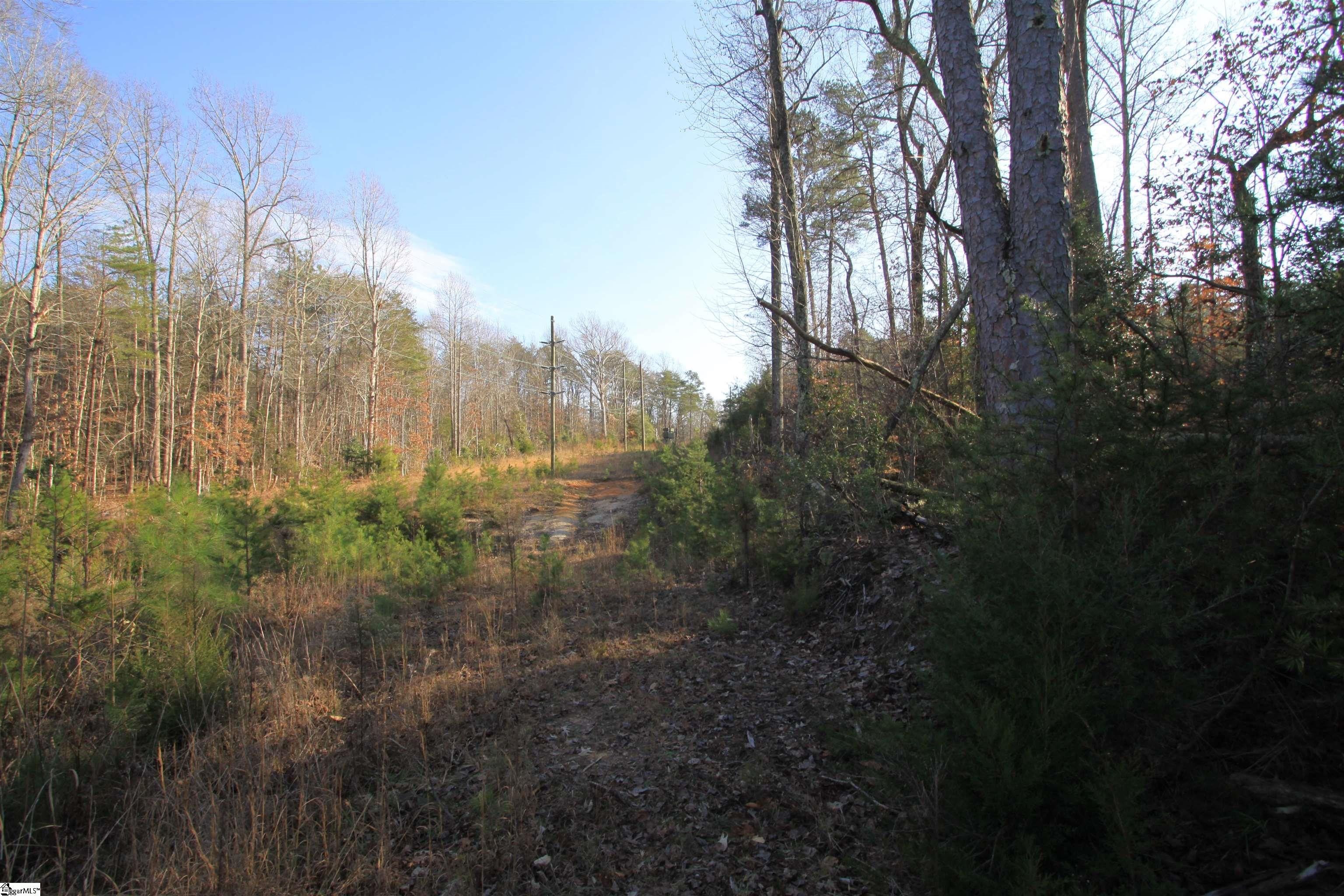 Pacolet, Spartanburg County, SC Undeveloped Land for sale Property ID