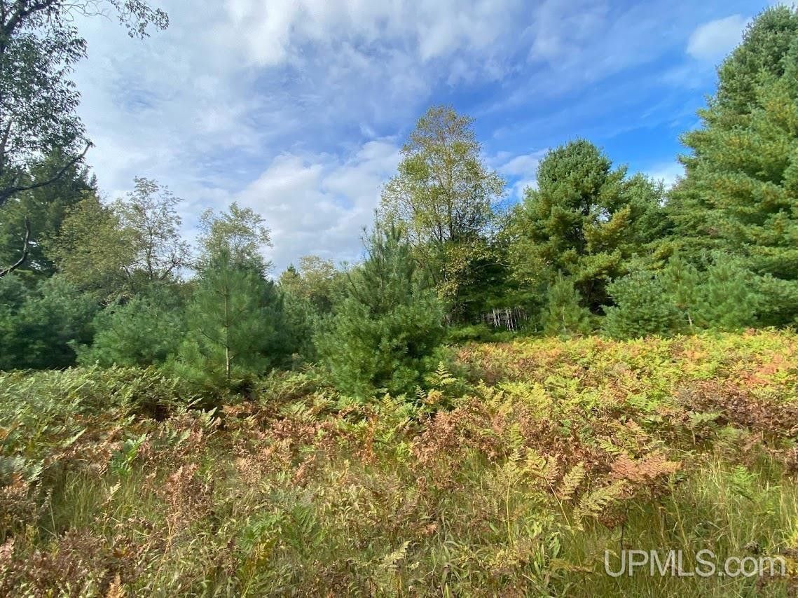 Manistique, Schoolcraft County, MI Undeveloped Land for sale Property