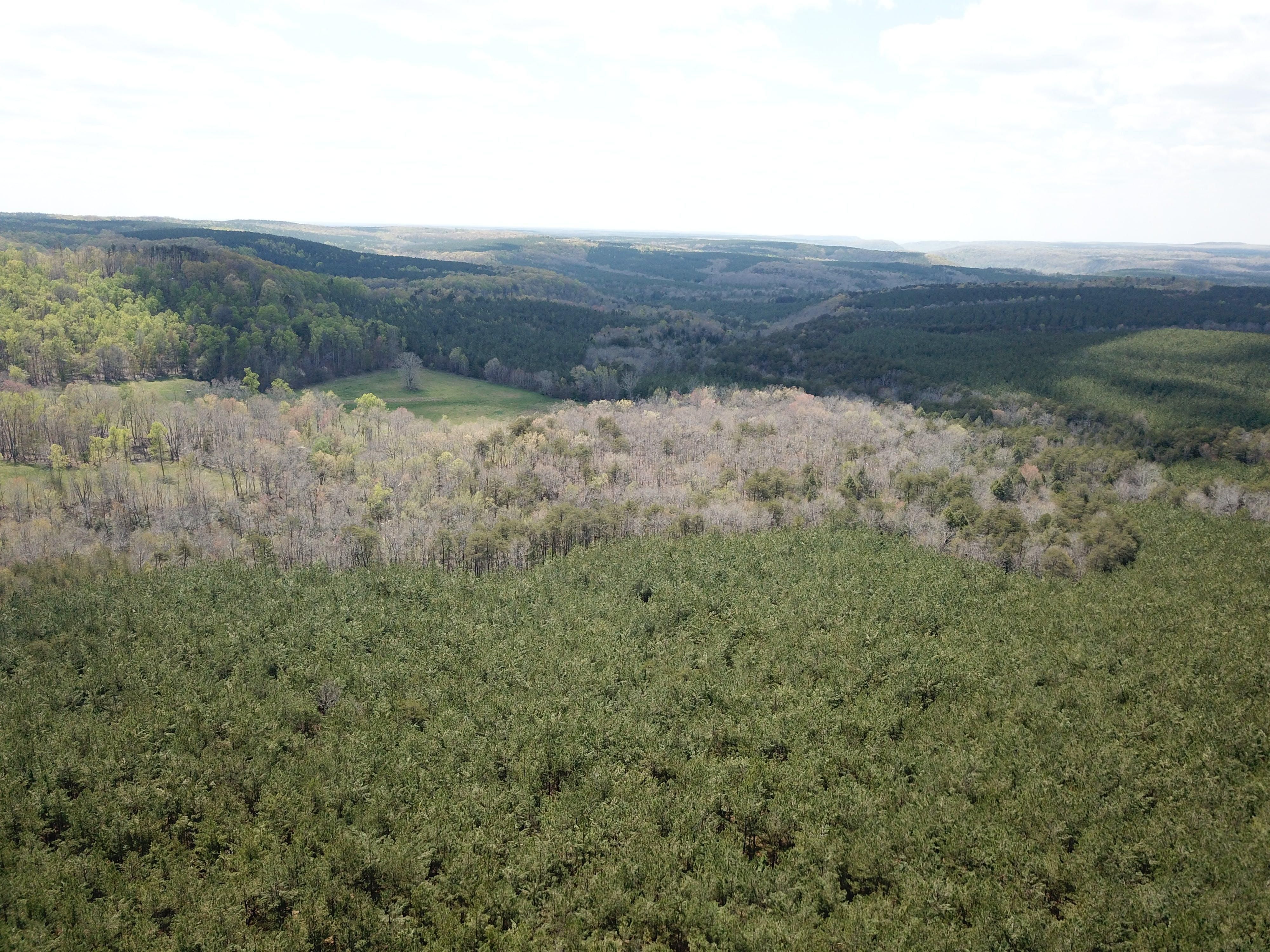 Crossville, Cumberland County, TN Recreational Property, Timberland Property, Hunting Property