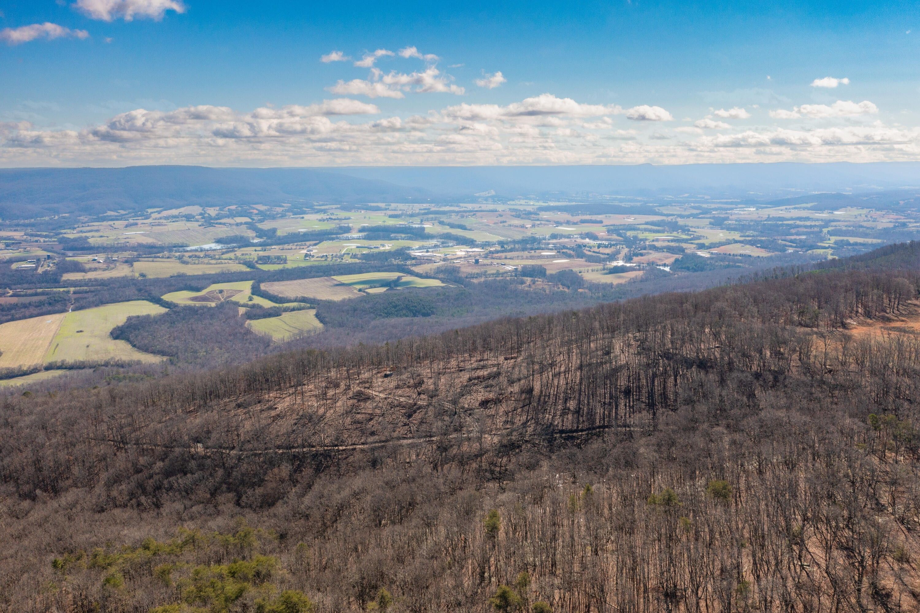 Pikeville, Bledsoe County, TN Undeveloped Land for sale Property ID