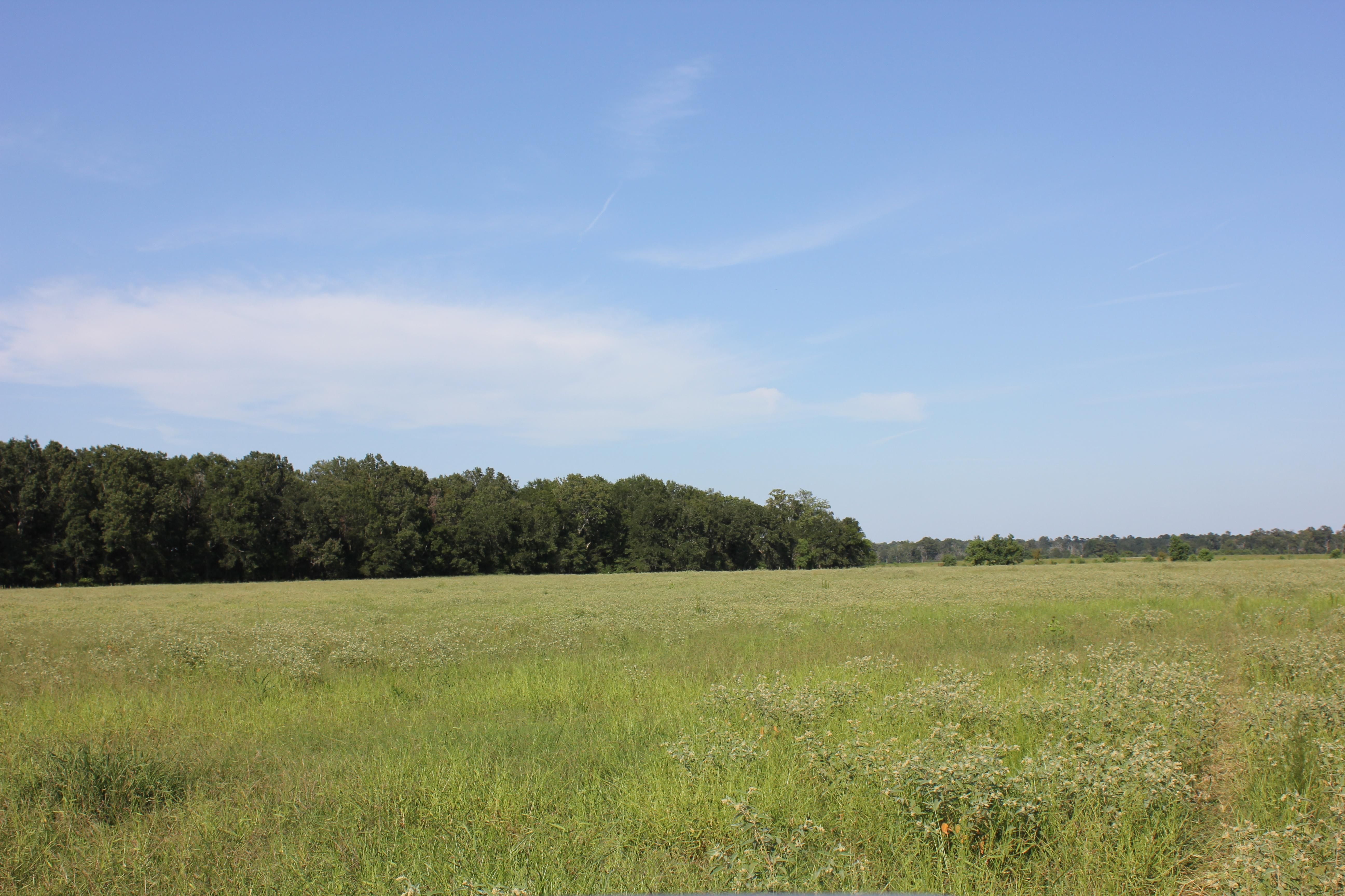 FM 58, Lufkin, TX 75901 MLS 67529 LandWatch