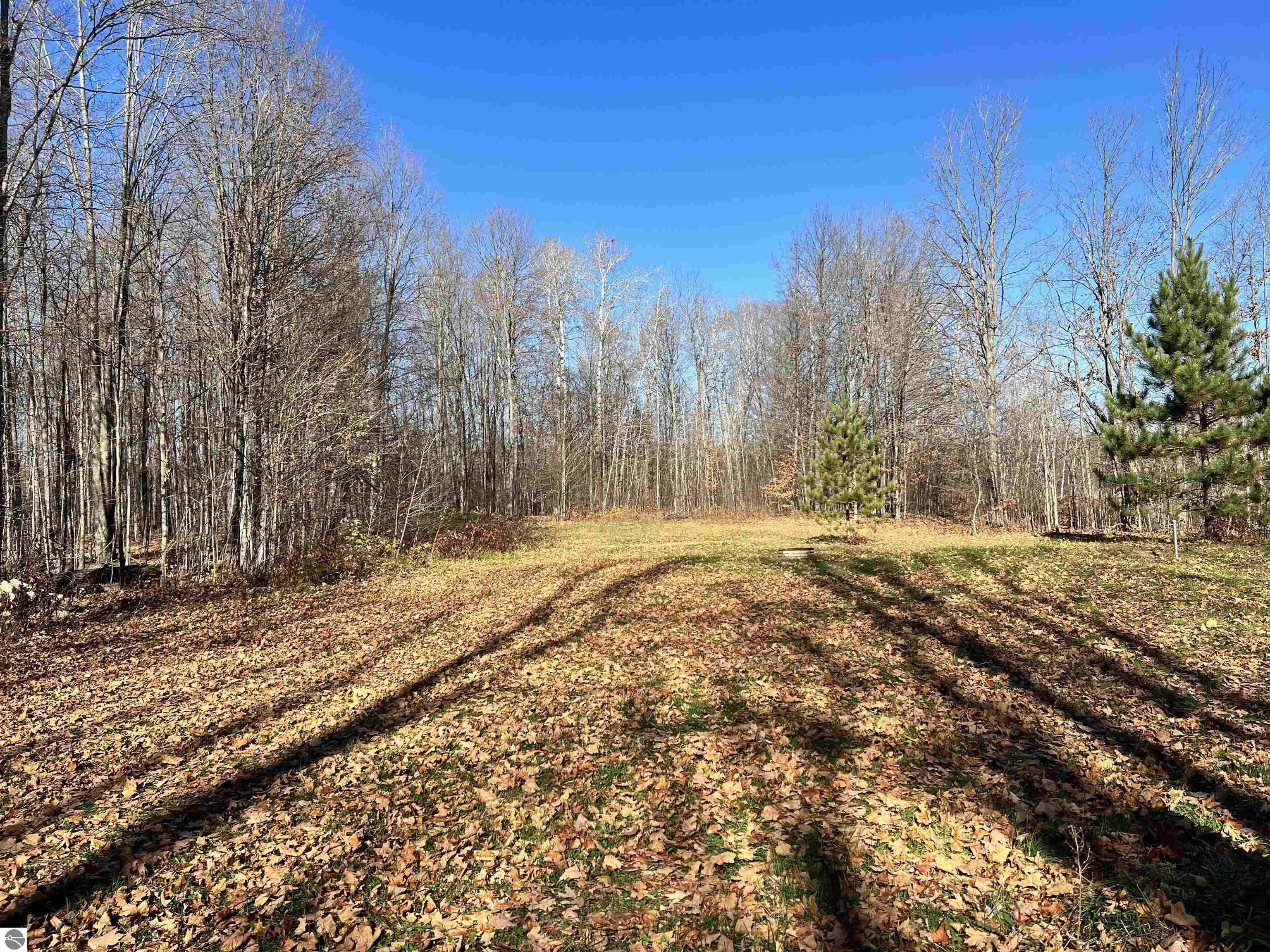 Elmira, Antrim County, MI Undeveloped Land, Lakefront Property