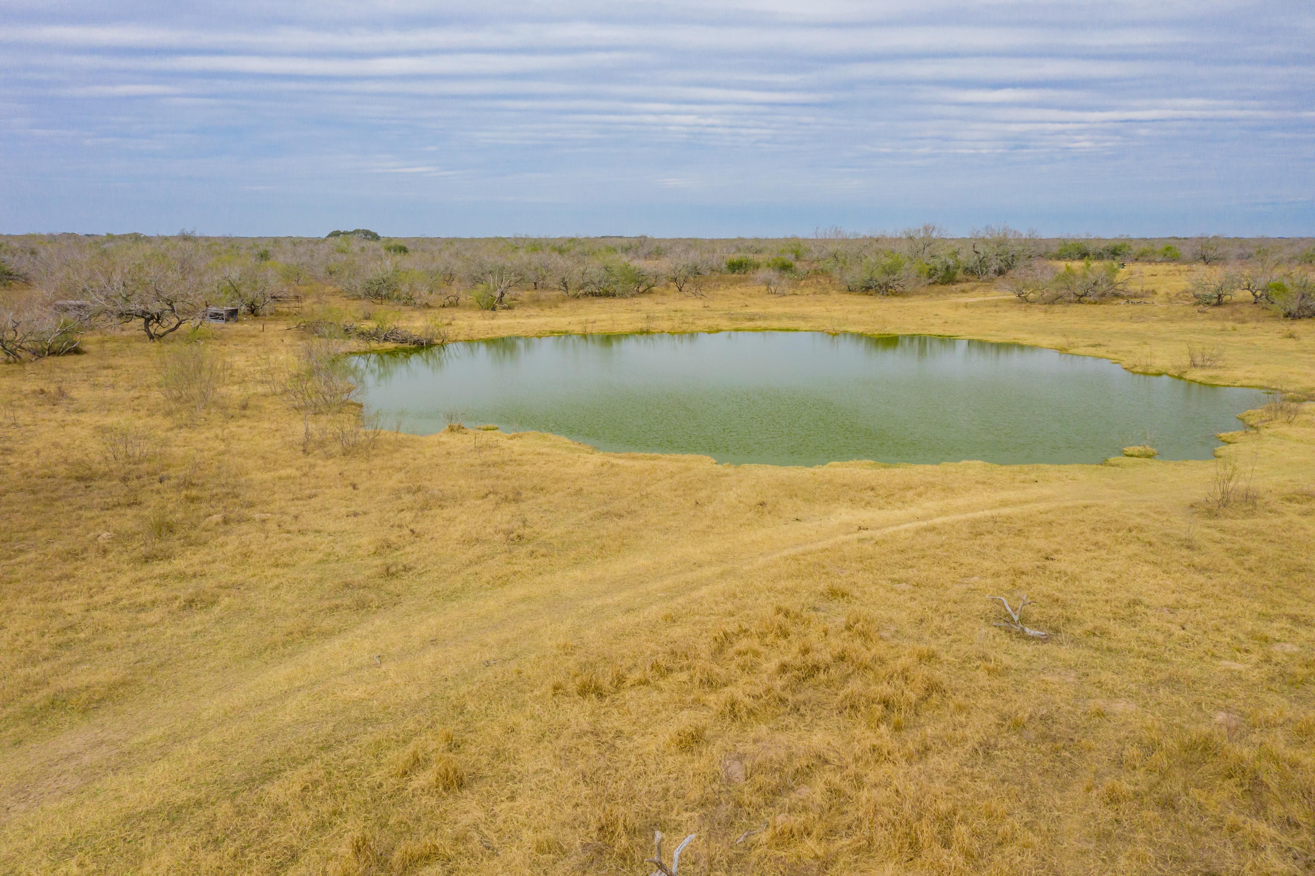 1,011 acres in Encino, TX, 78353 LandWatch